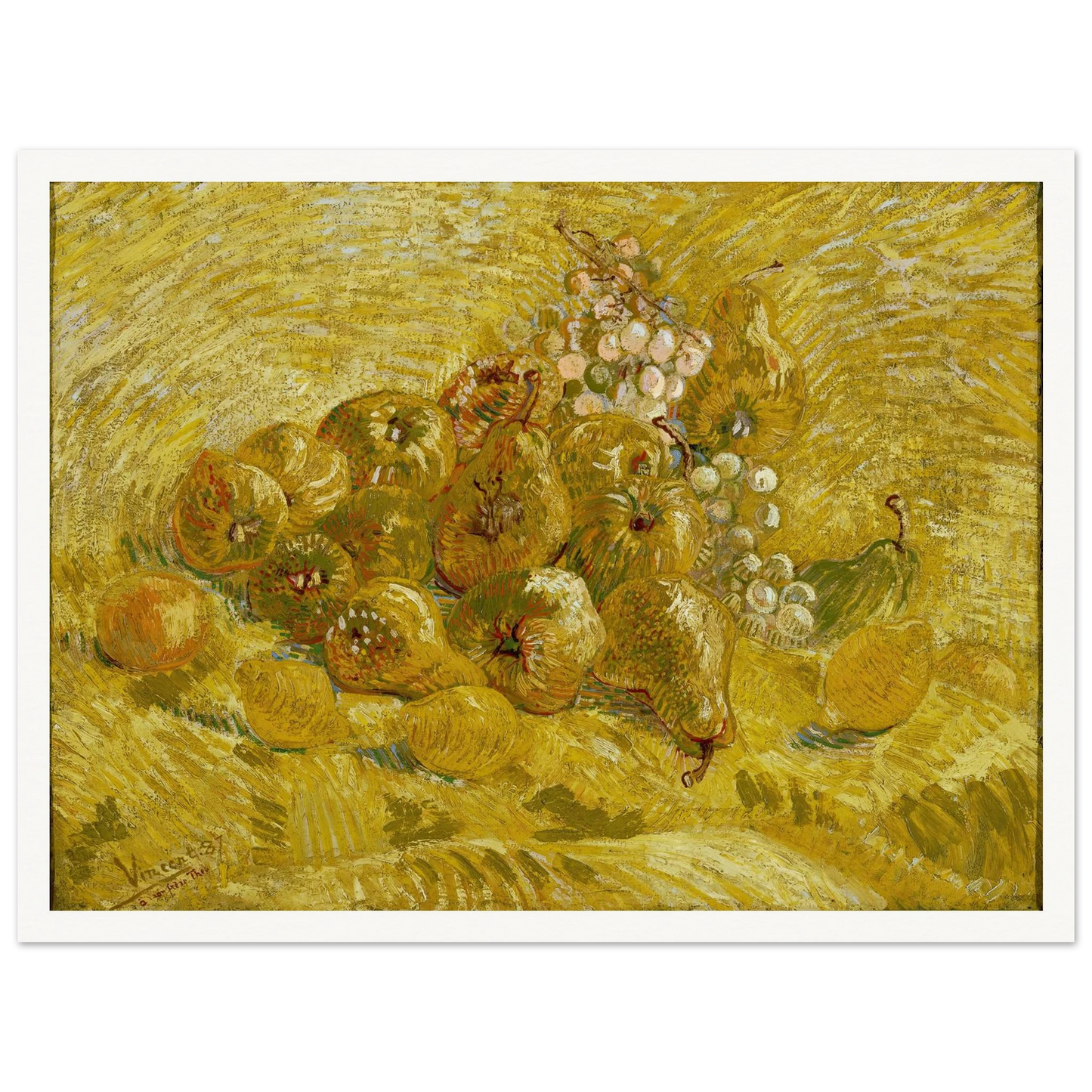 Quinces, lemons, pears and grapes (from 1887 until 1888) Art Print | Vincent van Gogh-Quipham Collections