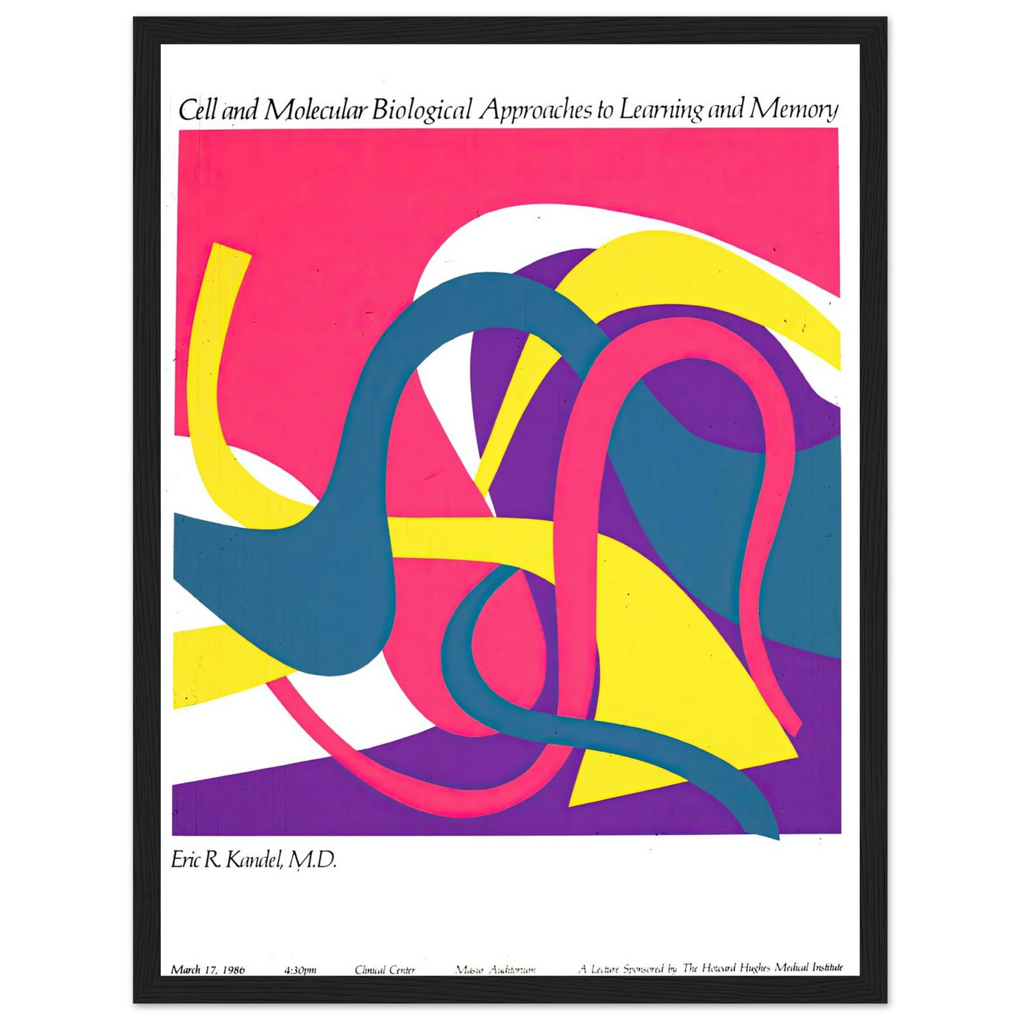 Cell and molecular biological approaches to learning and memory (1986) Art Print | National Institutes of Health-Quipham Collections