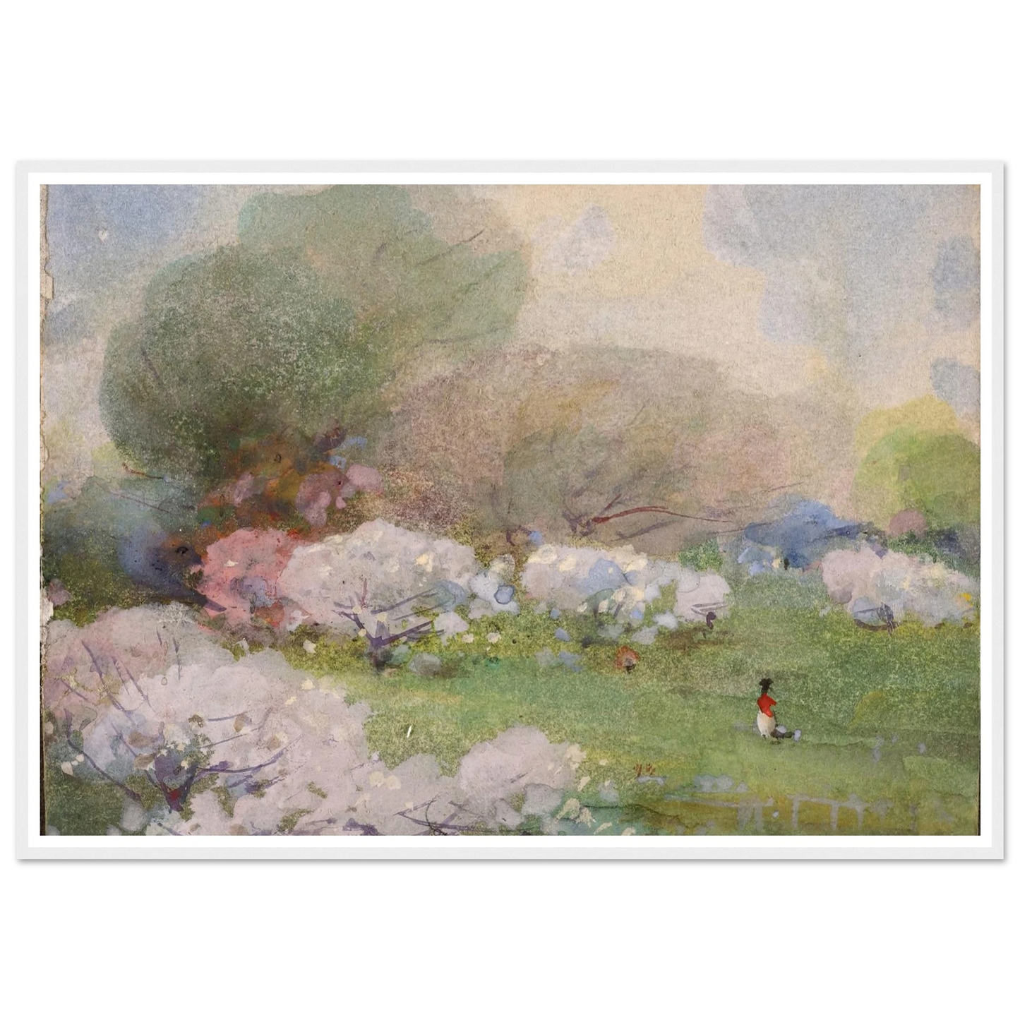 Cherry Blossoms Art Print | William Henry Holmes-Quipham Collections