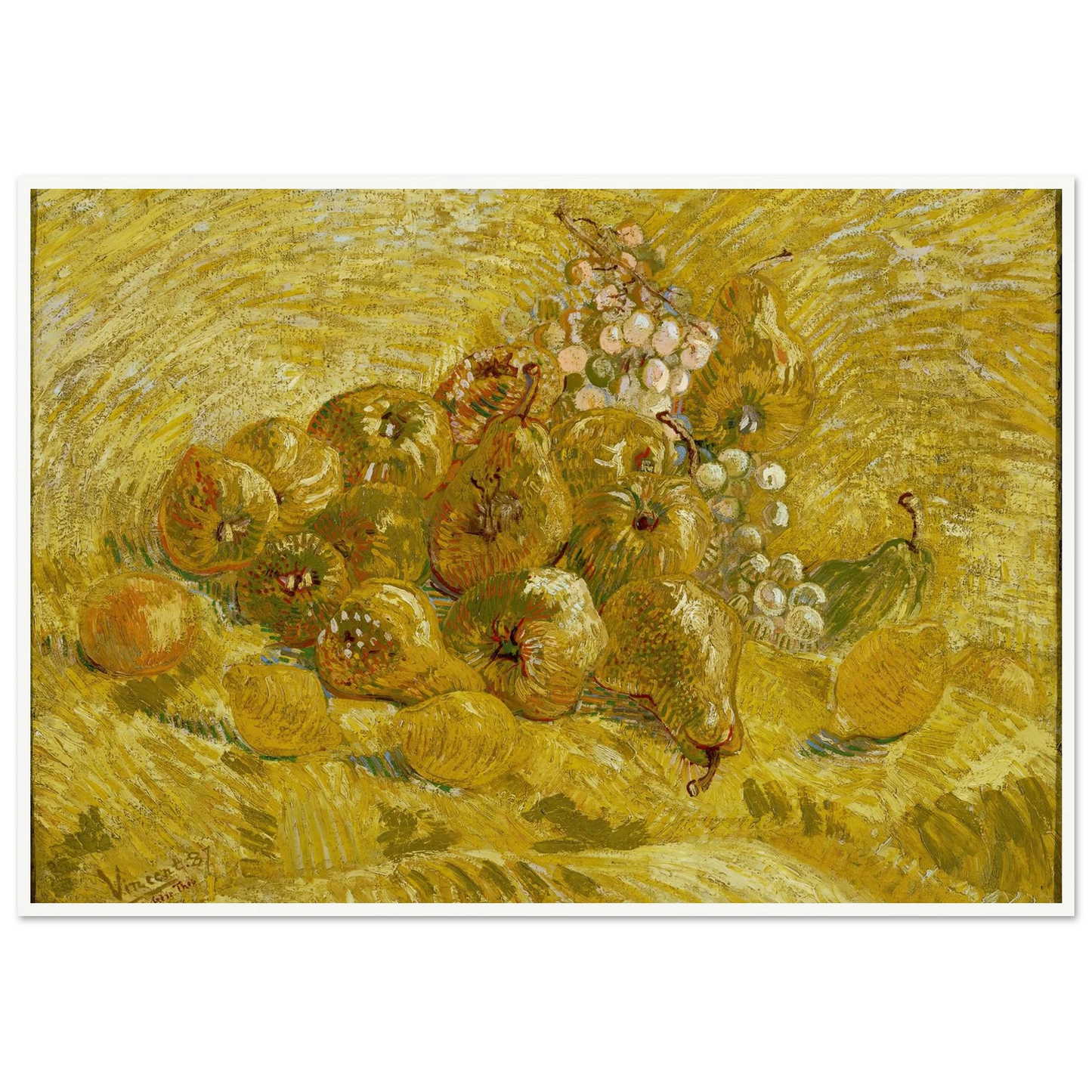 Quinces, lemons, pears and grapes (from 1887 until 1888) Art Print | Vincent van Gogh-Quipham Collections