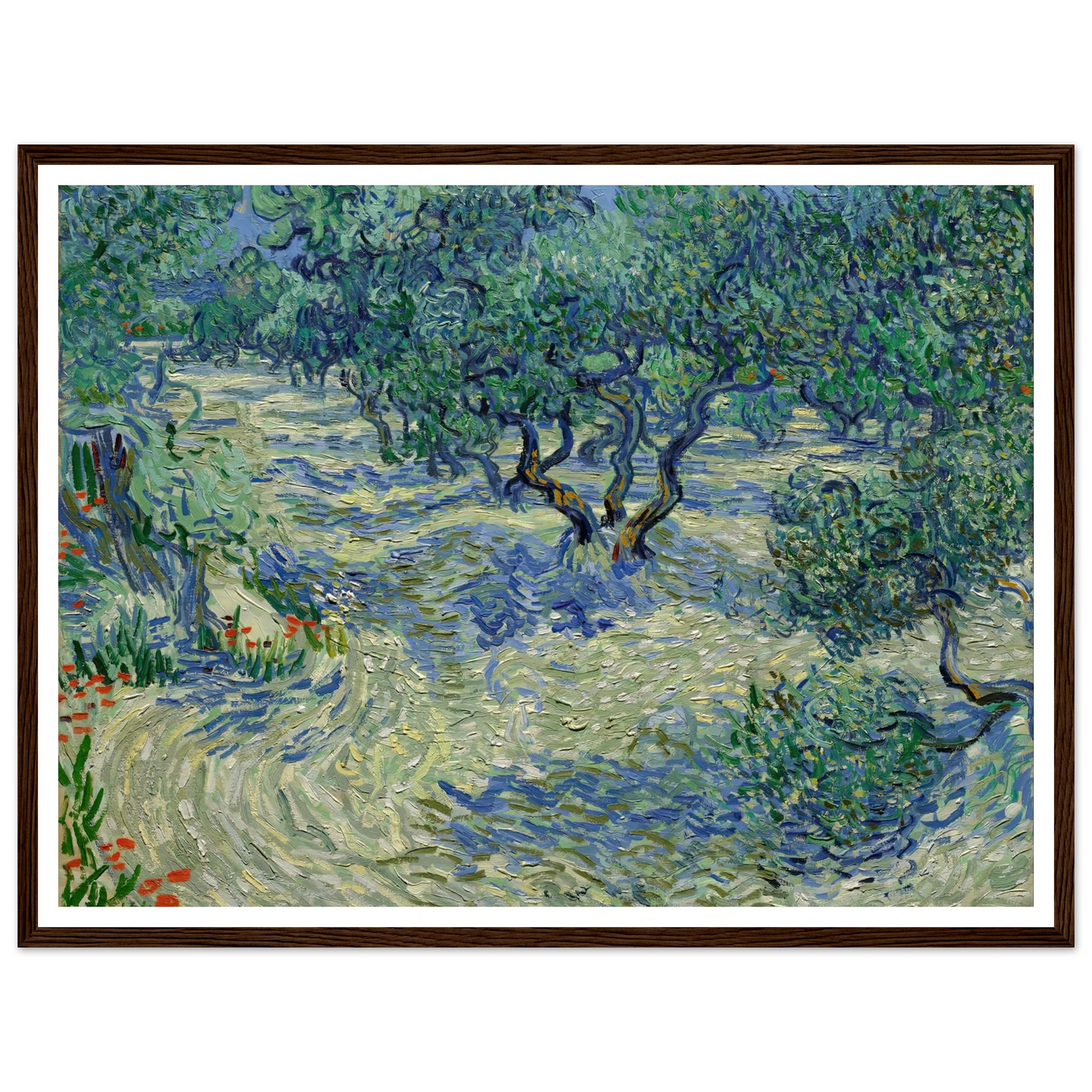 Olive Orchard Art Print | Vincent van Gogh-Quipham Collections