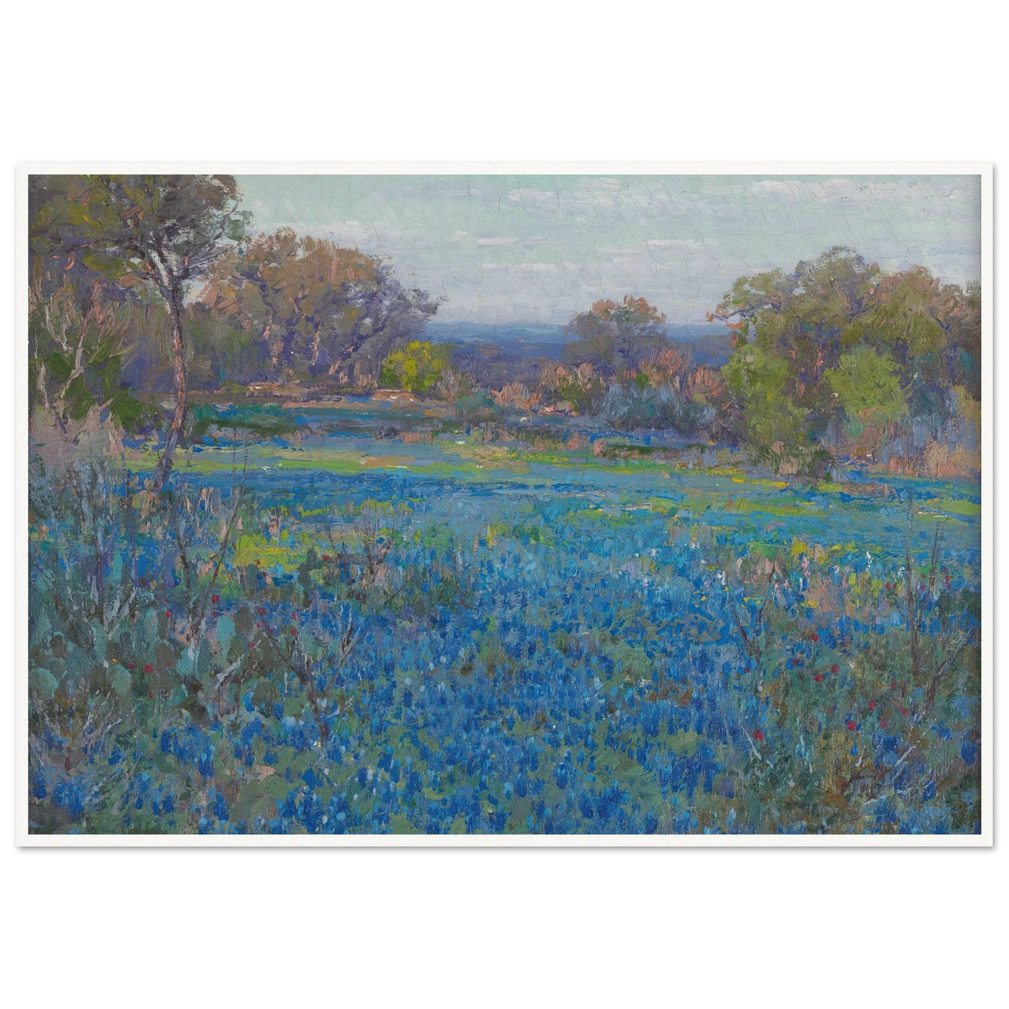A field of Blue Bonnets, late afternoon sunlight (1919-1920) Art Print | Julian Onderdonk-Quipham Collections