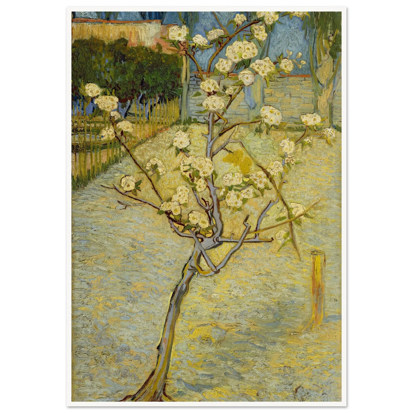 Small pear tree in blossom (1888) Art Print | Vincent van Gogh-Quipham Collections
