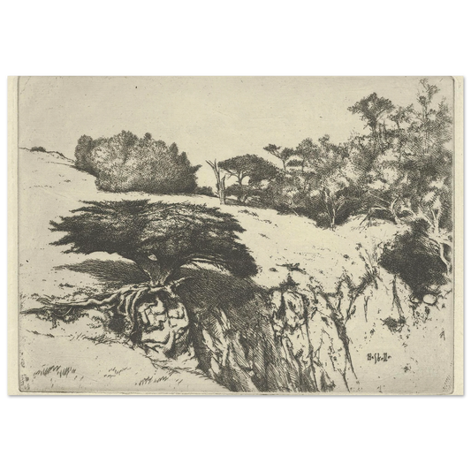 Fan Tree and Her Canyon (1915-1925) Art Print | Ernest Haskell-Quipham Collections