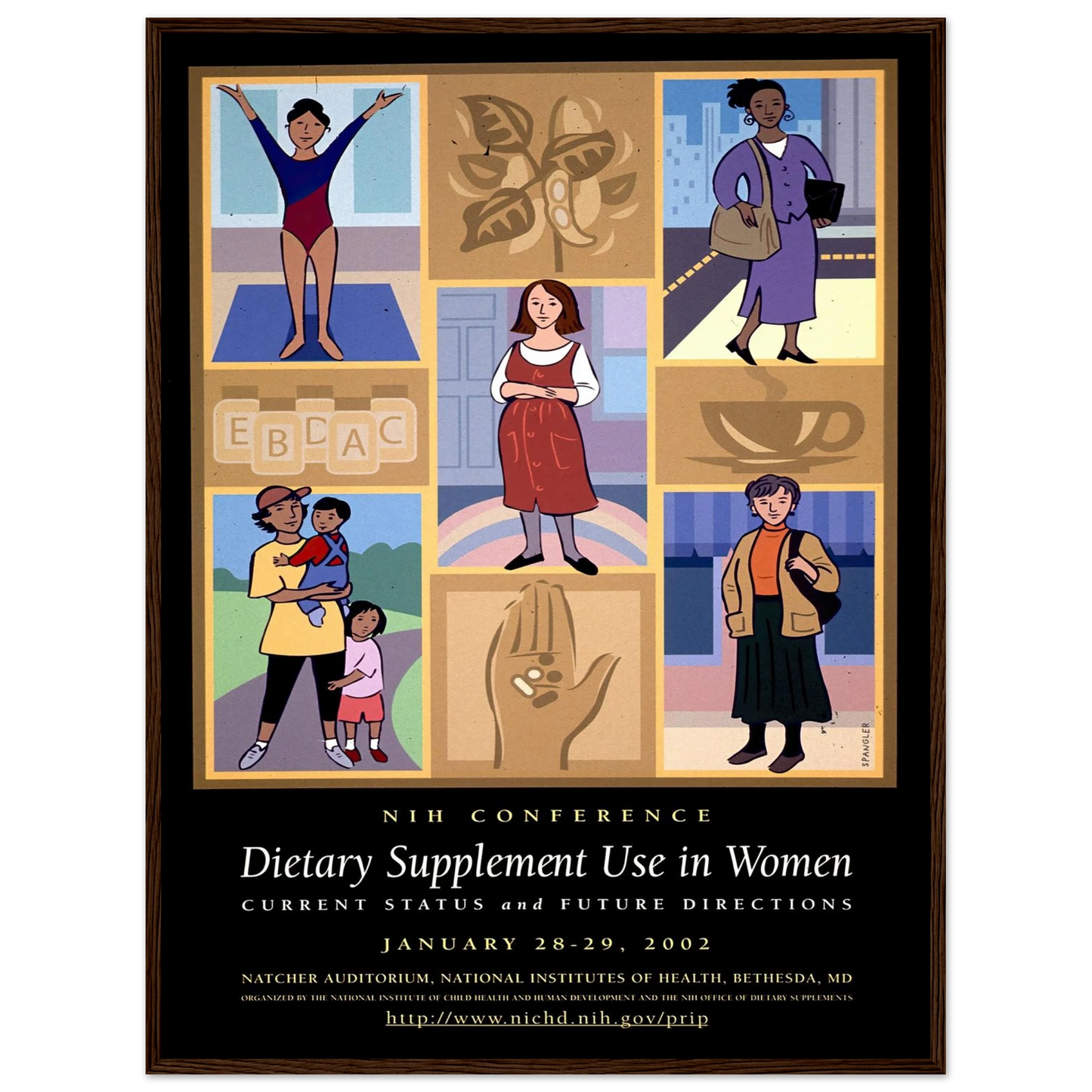 Dietary supplement use in women; current status and future directions (2002) Art Print | National Institutes of Health-Quipham Collections