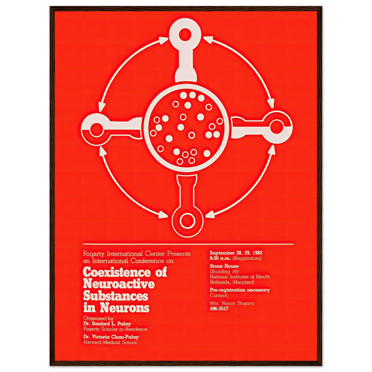 Coexistence of neuroactive substances in neurons (1982) Art Print | National Institutes of Health-Quipham Collections