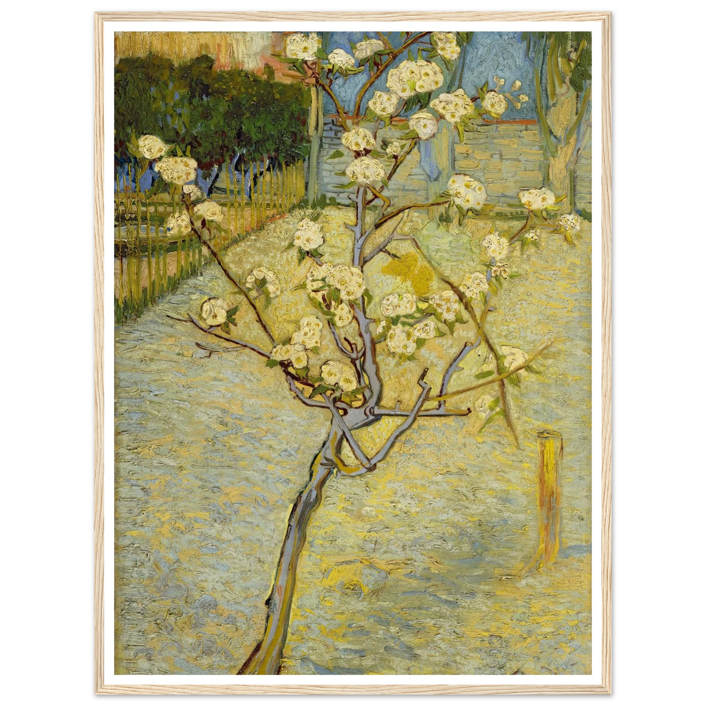 Small pear tree in blossom (1888) Art Print | Vincent van Gogh-Quipham Collections
