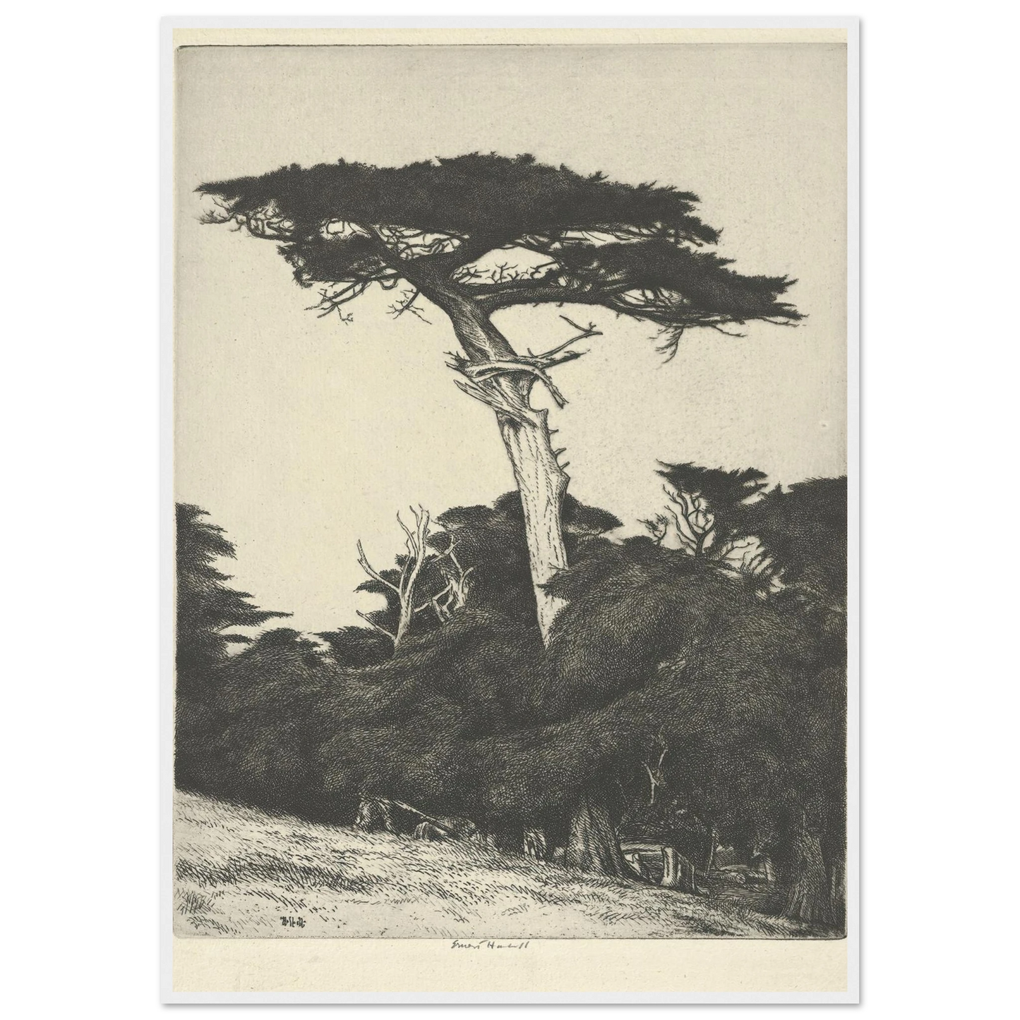 Dryad’s Parasol (1916-1922) Art Print | Ernest Haskell-Quipham Collections