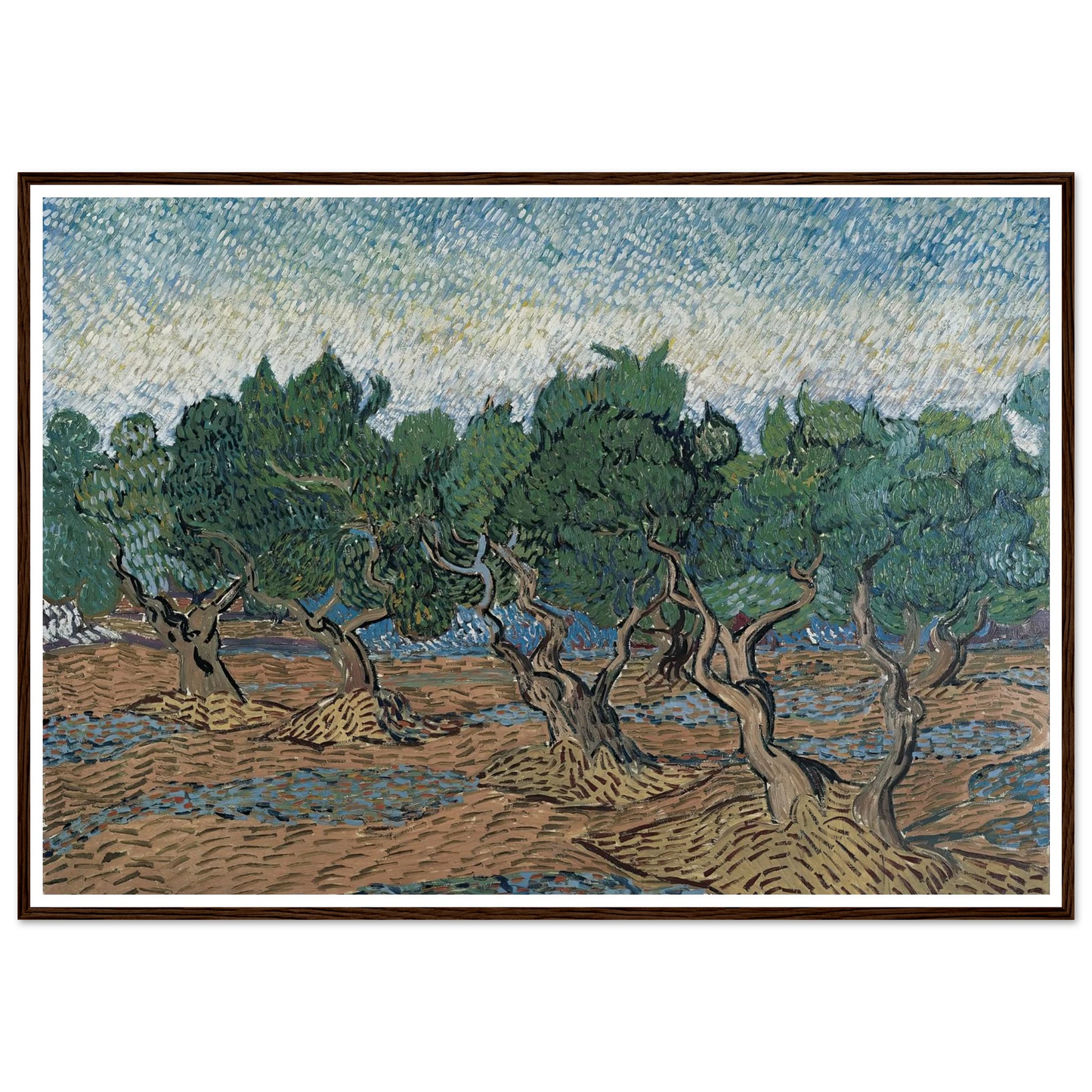 Olive grove Art Print | Vincent van Gogh-Quipham Collections