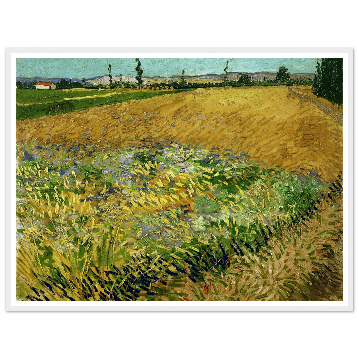 Wheatfield (1888) Art Print | Vincent van Gogh-Quipham Collections