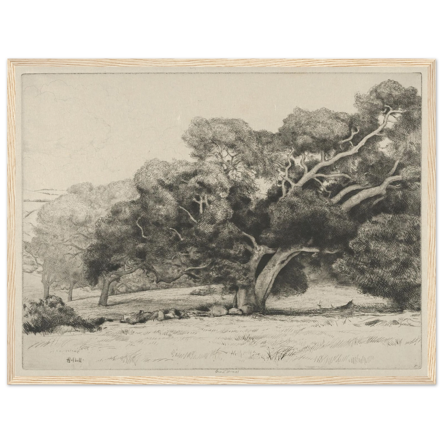 Large Live Oak (1915-1925) Art Print | Ernest Haskell-Quipham Collections