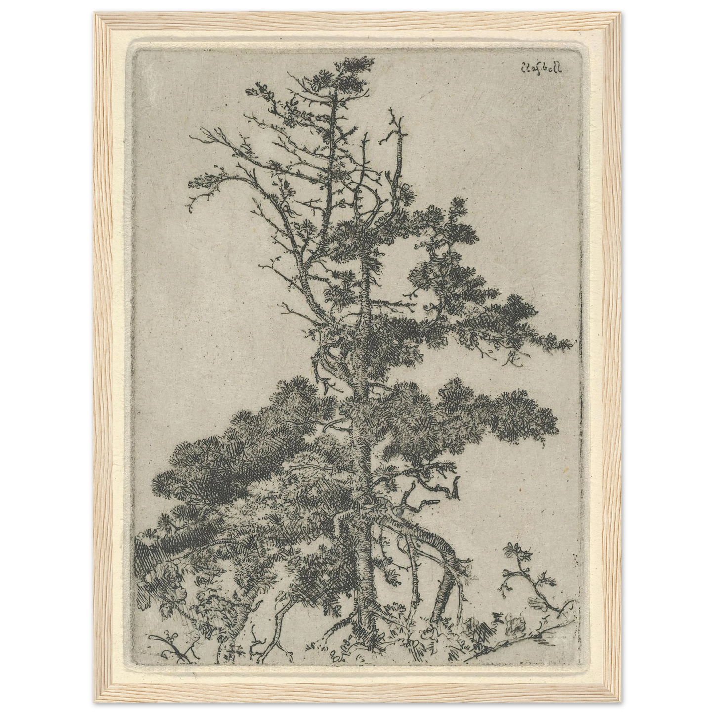 Tree Top (1900-1925) Art Print | Ernest Haskell-Quipham Collections