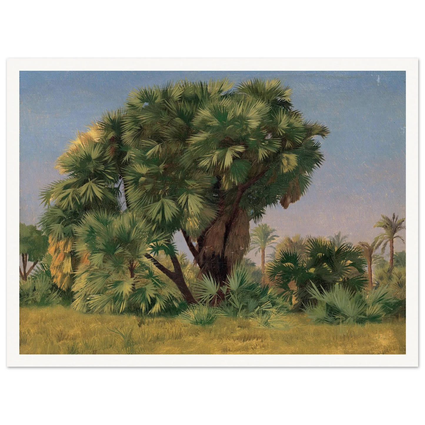 Study of Palm Trees (probably 1868) Art Print | Jean Leon Gerome-Quipham Collections
