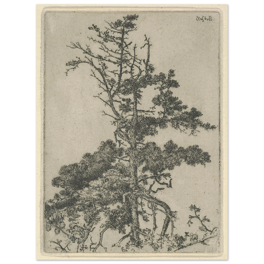 Tree Top (1900-1925) Art Print | Ernest Haskell-Quipham Collections