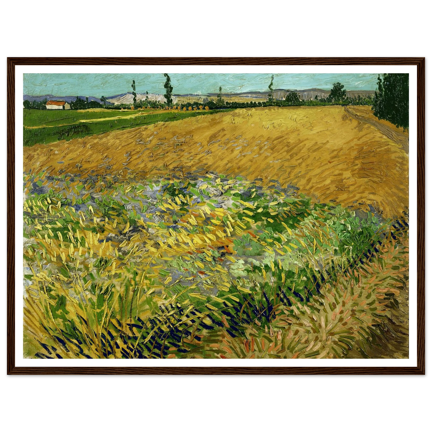 Wheatfield (1888) Art Print | Vincent van Gogh-Quipham Collections