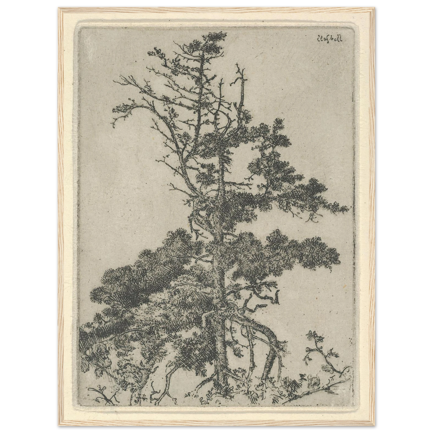 Tree Top (1900-1925) Art Print | Ernest Haskell-Quipham Collections