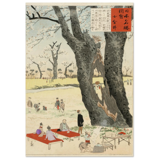Koganei, Cherry Blossoms (1896) Art Print | Kobayashi Kiyochika-Quipham Collections