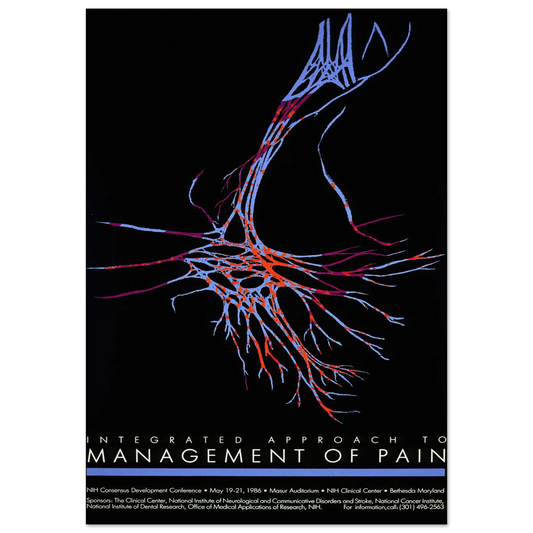 Integrated approach to management of pain (1986) Art Print | National Institutes of Health-Quipham Collections