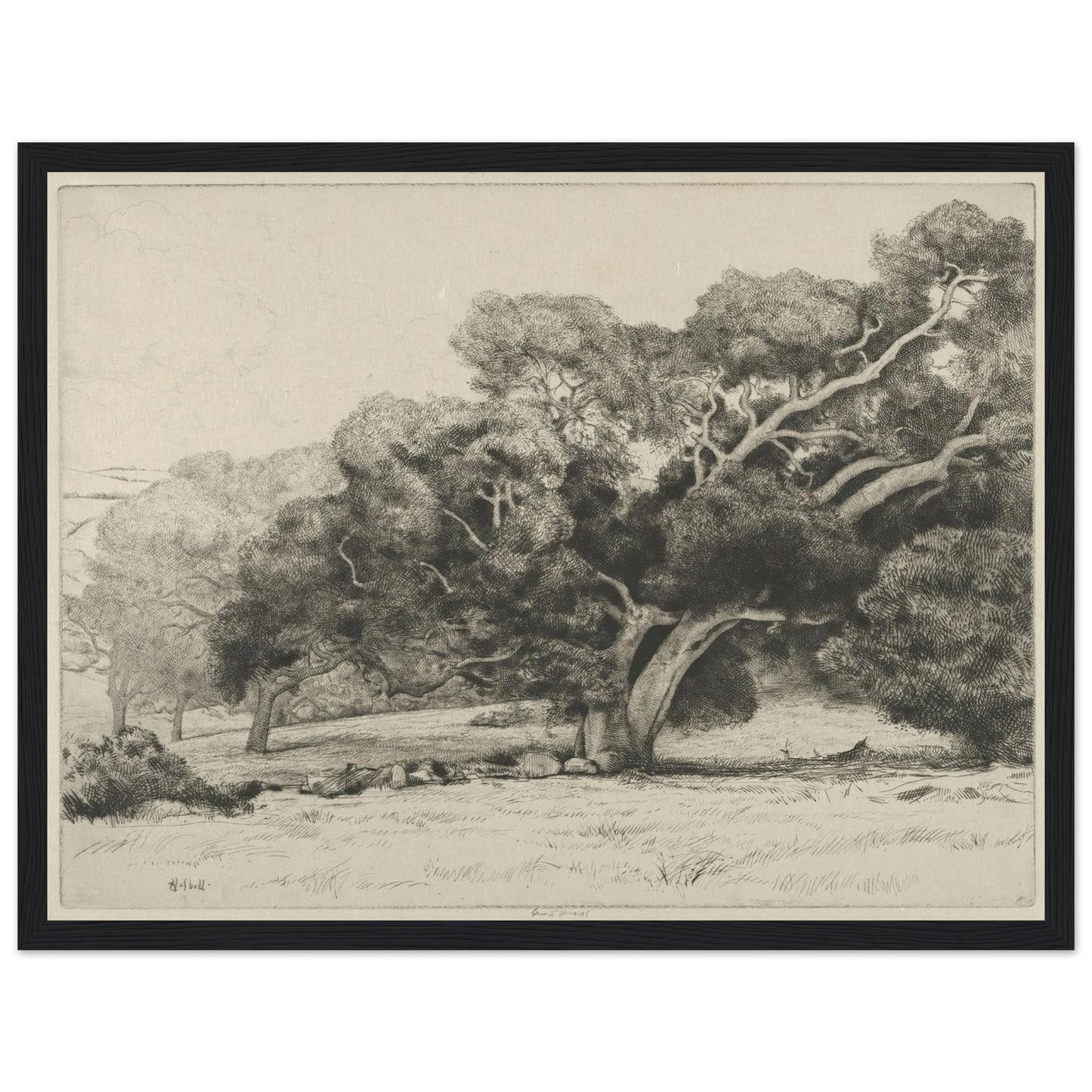 Large Live Oak (1915-1925) Art Print | Ernest Haskell-Quipham Collections
