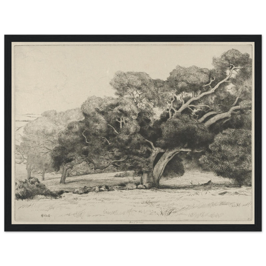 Large Live Oak (1915-1925) Art Print | Ernest Haskell-Quipham Collections