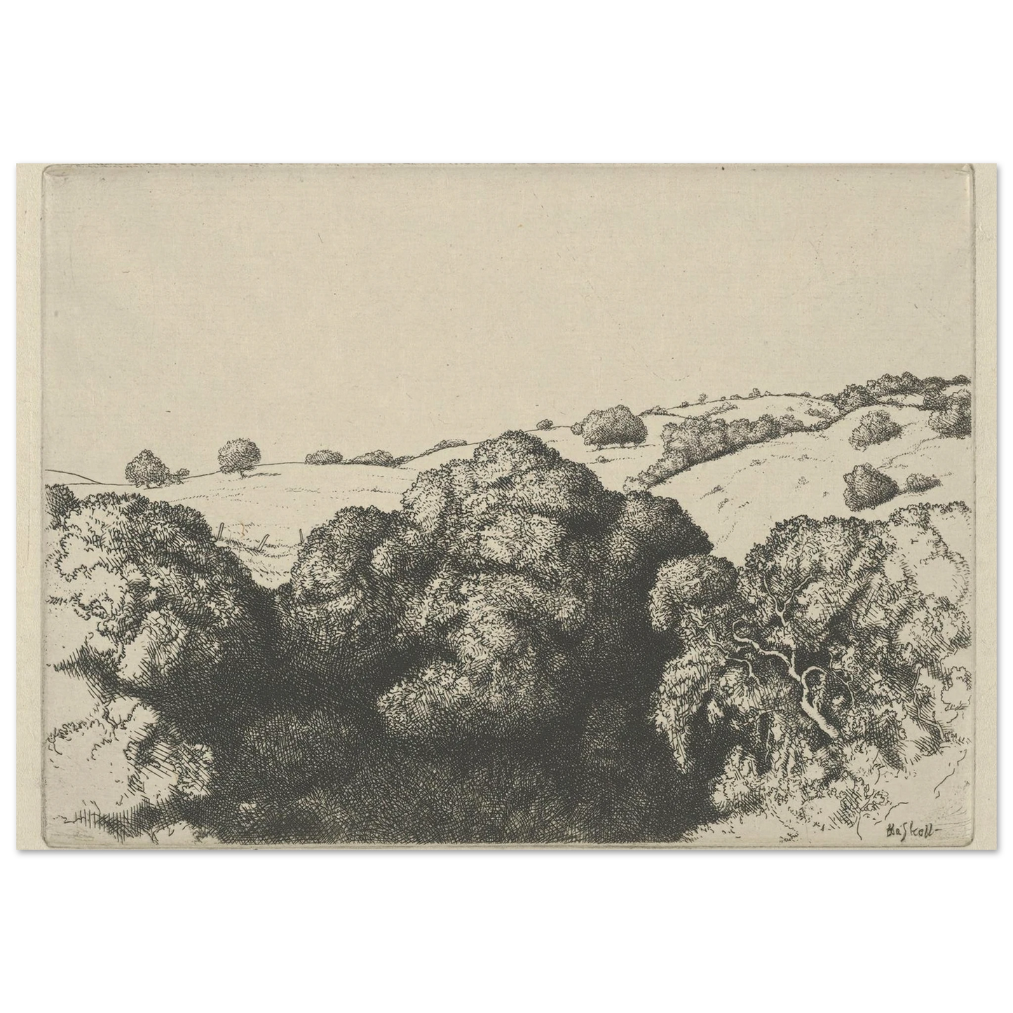 Live Oak Shadows (1900-1925) Art Print | Ernest Haskell-Quipham Collections