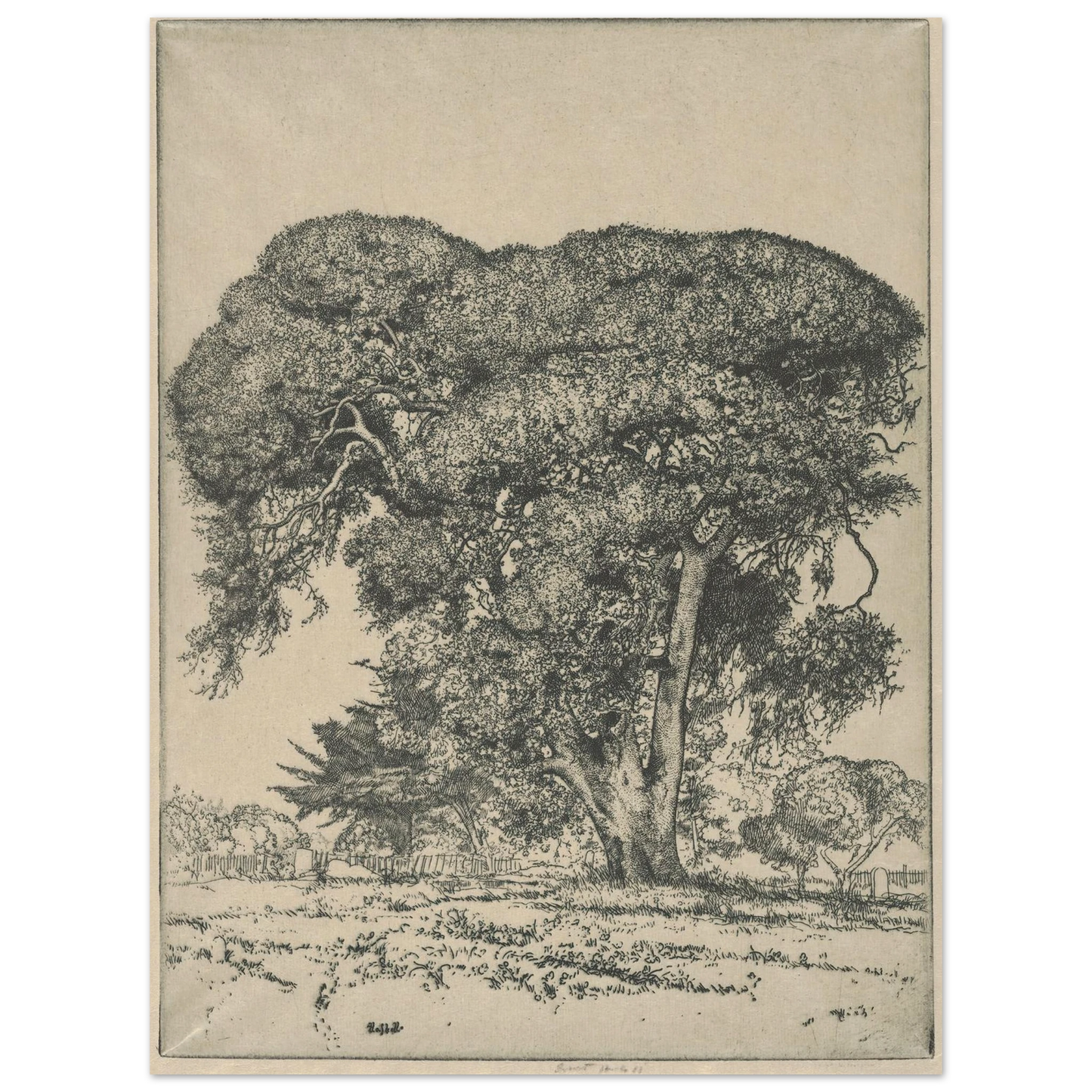 Cemetery Live Oak (1916) Art Print | Ernest Haskell-Quipham Collections
