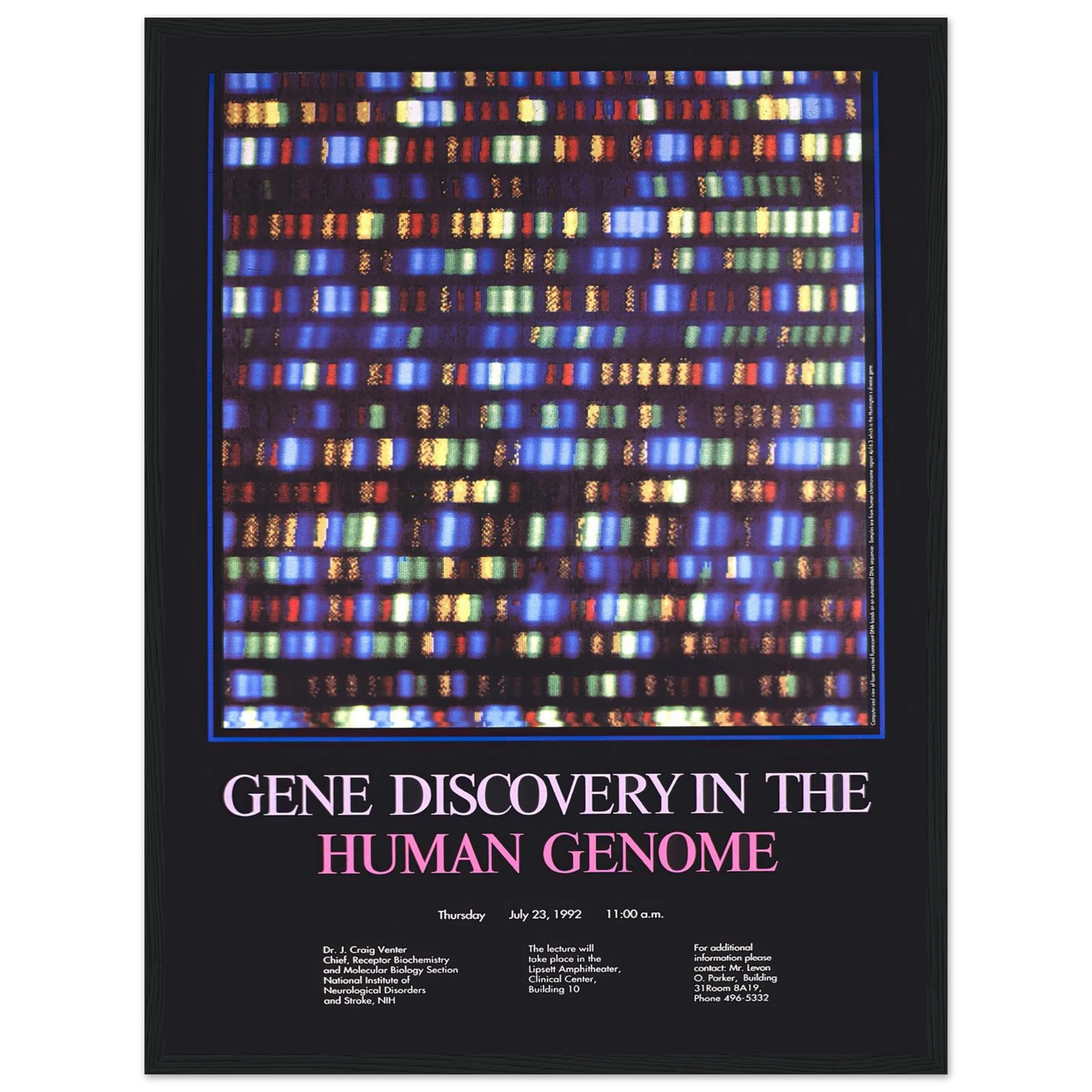 Gene discovery in the human genome (1992) Art Print | National Institutes of Health-Quipham Collections
