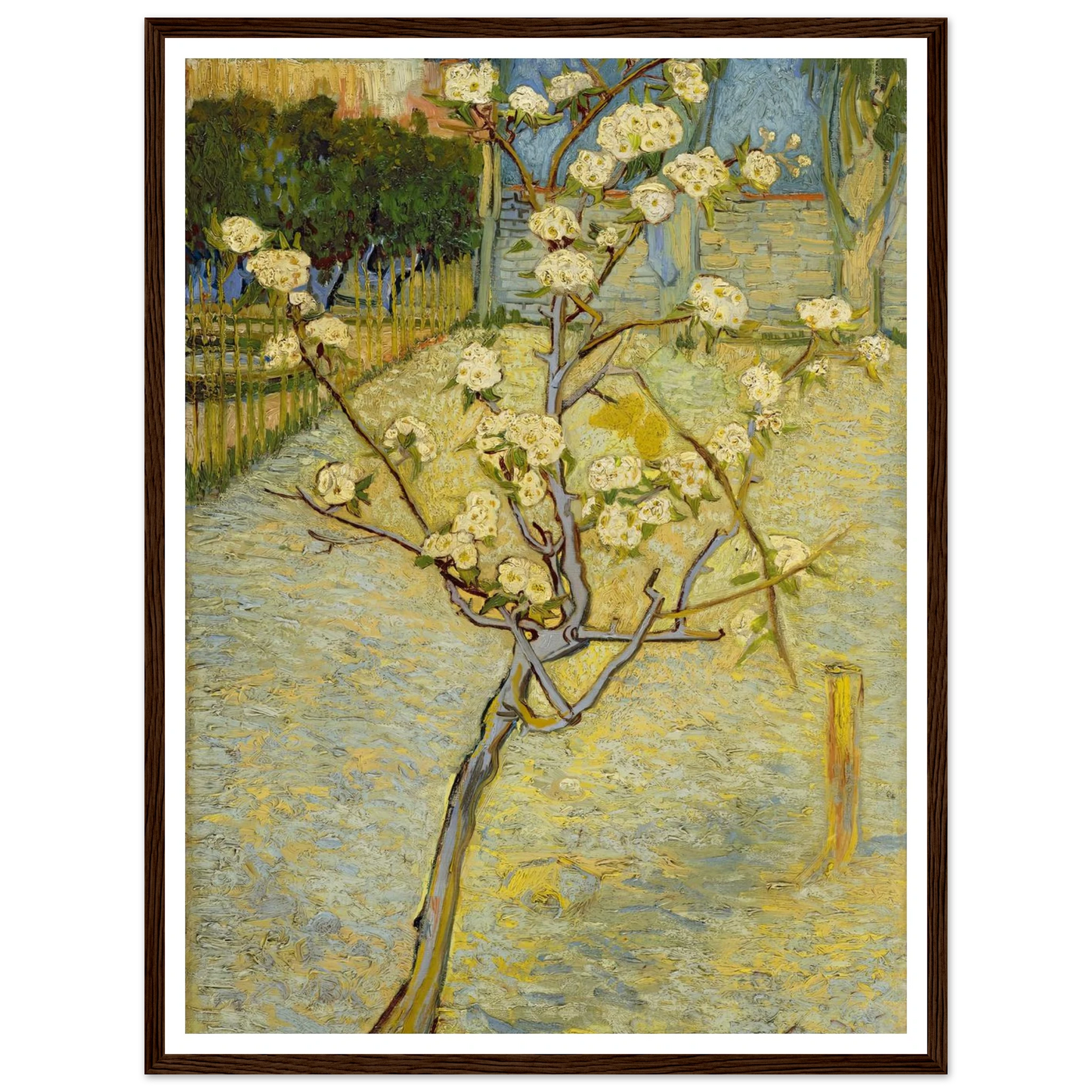 Small pear tree in blossom (1888) Art Print | Vincent van Gogh-Quipham Collections
