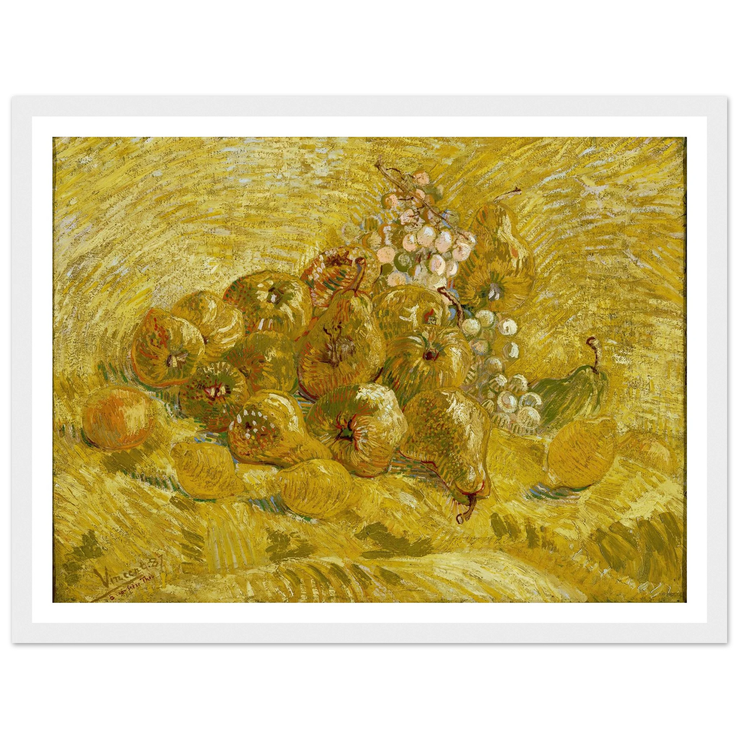 Quinces, lemons, pears and grapes (from 1887 until 1888) Art Print | Vincent van Gogh-Quipham Collections
