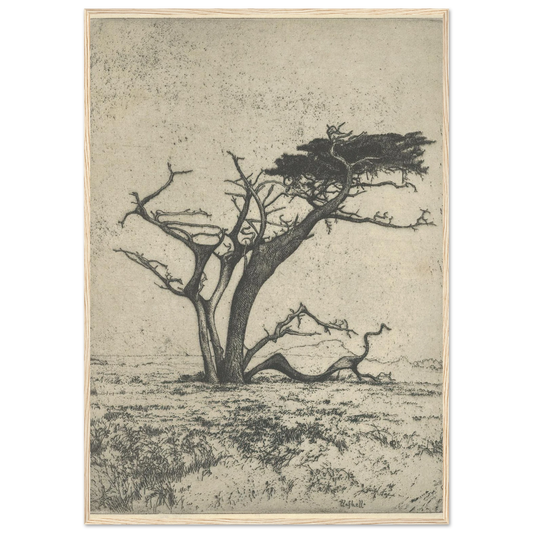 Antlers (1915) Art Print | Ernest Haskell-Quipham Collections