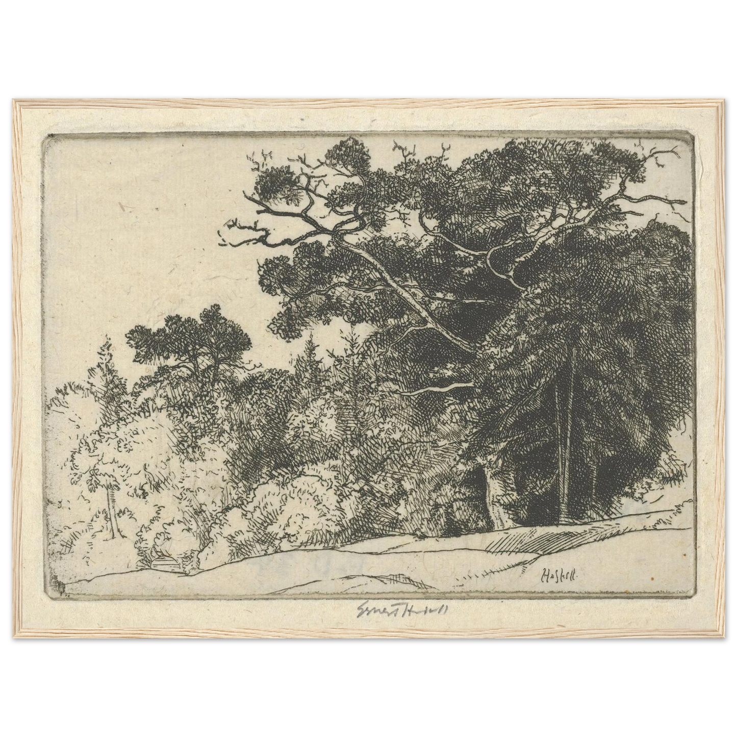 Brown’s Oak (probably 1910) Art Print | Ernest Haskell-Quipham Collections
