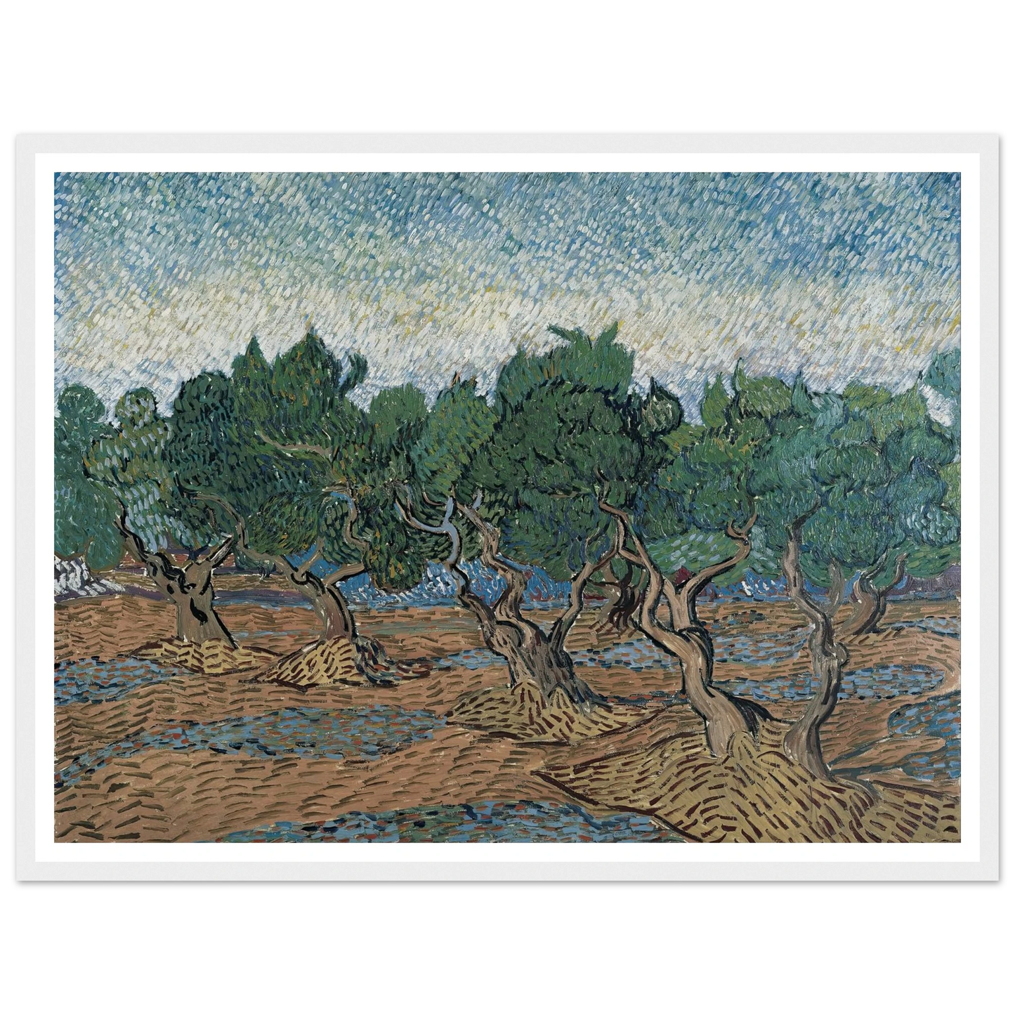 Olive grove Art Print | Vincent van Gogh-Quipham Collections