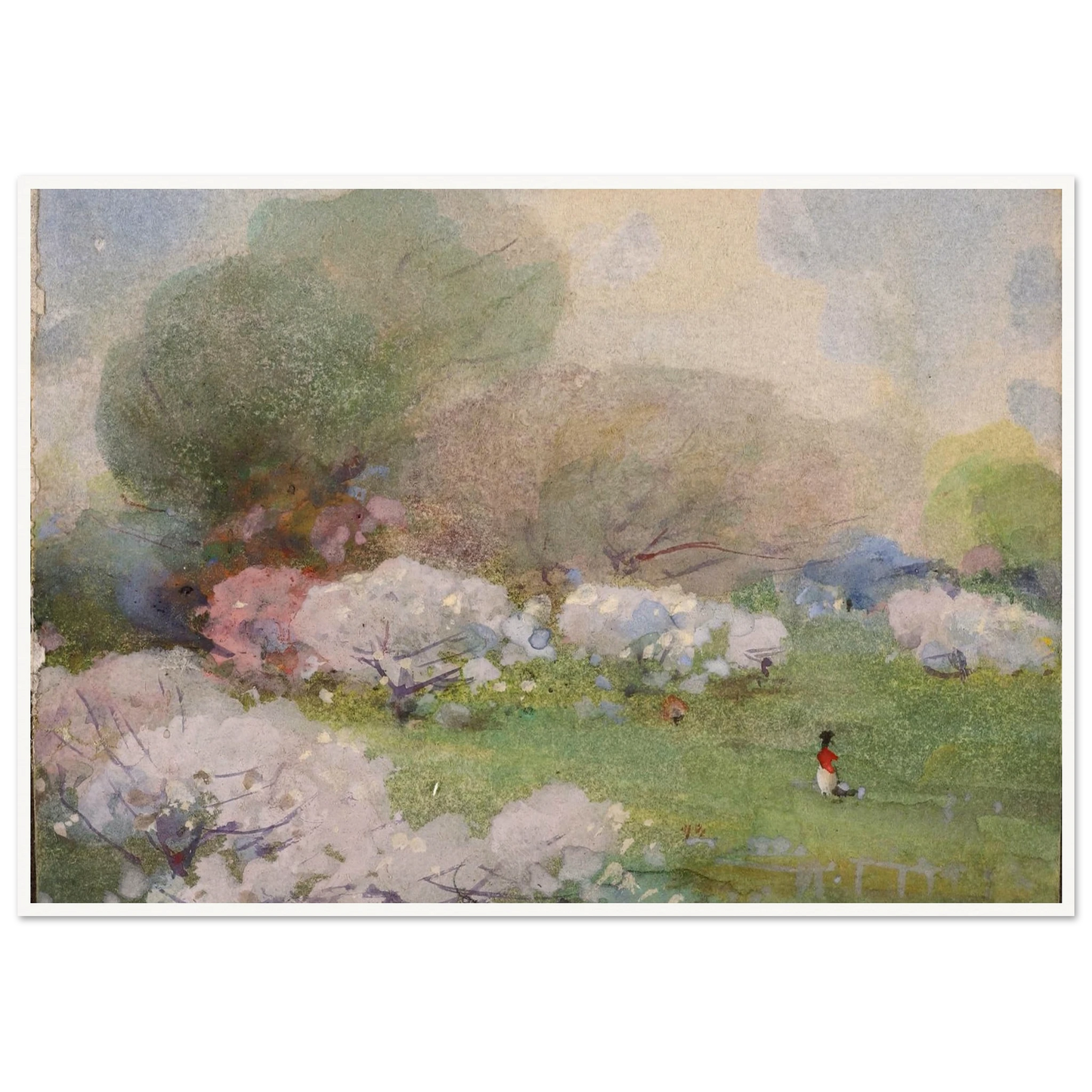 Cherry Blossoms Art Print | William Henry Holmes-Quipham Collections