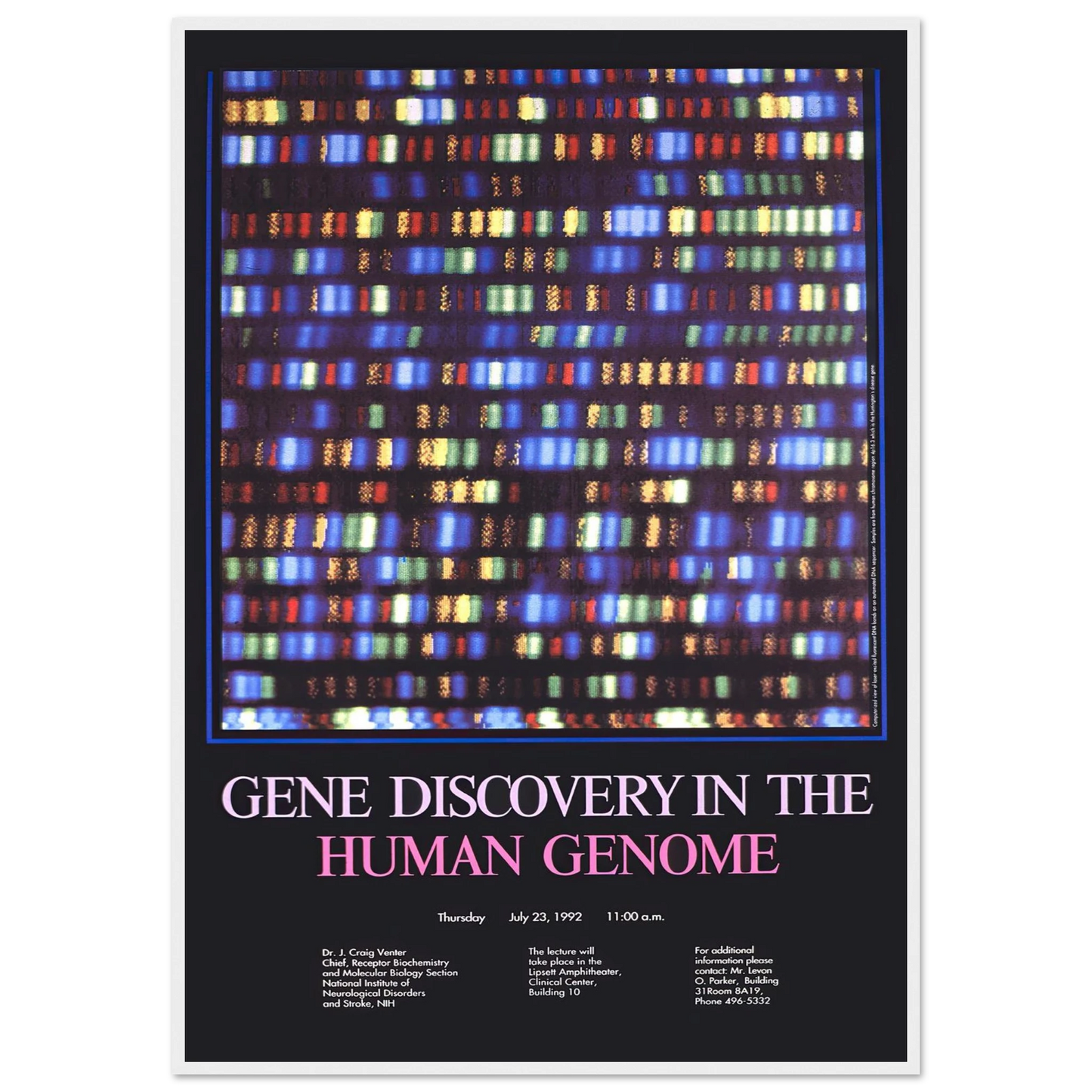 Gene discovery in the human genome (1992) Art Print | National Institutes of Health-Quipham Collections