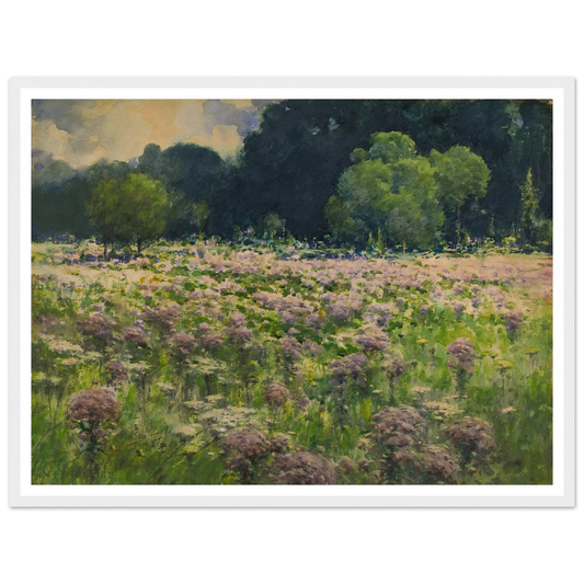 Field Of Joe Pie Weeds (Pride Of The Meadow) Art Print | William Henry Holmes-Quipham Collections