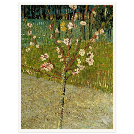 Almond tree in blossom Art Print | Vincent van Gogh - Framed Poster - 30x40 cm / 12x16″ - Black frame
