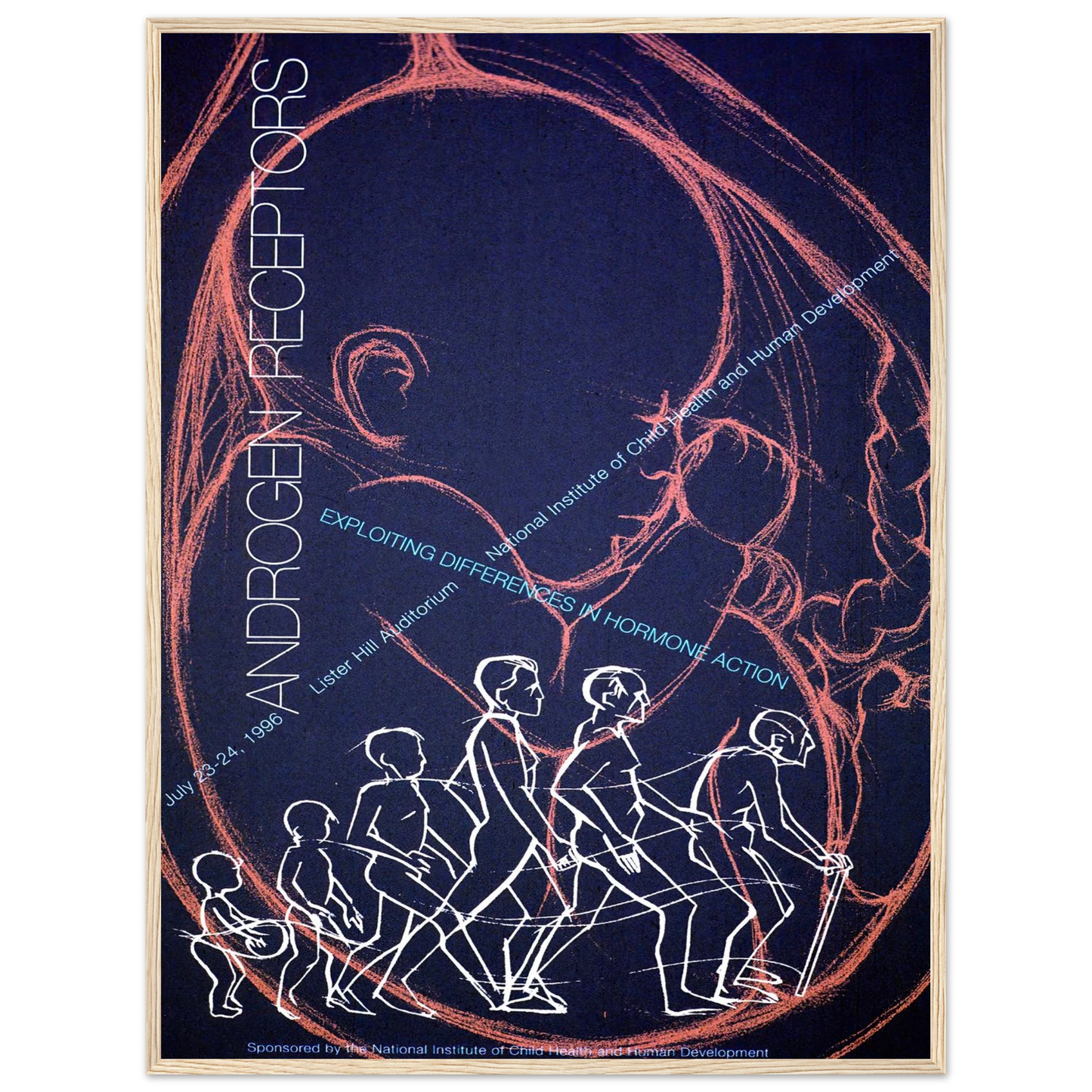 Androgen receptors; exploiting differences in hormone action (1996) Art Print | National Institutes of Health - Framed Poster - 30x40 cm / 12x16″ - Black frame