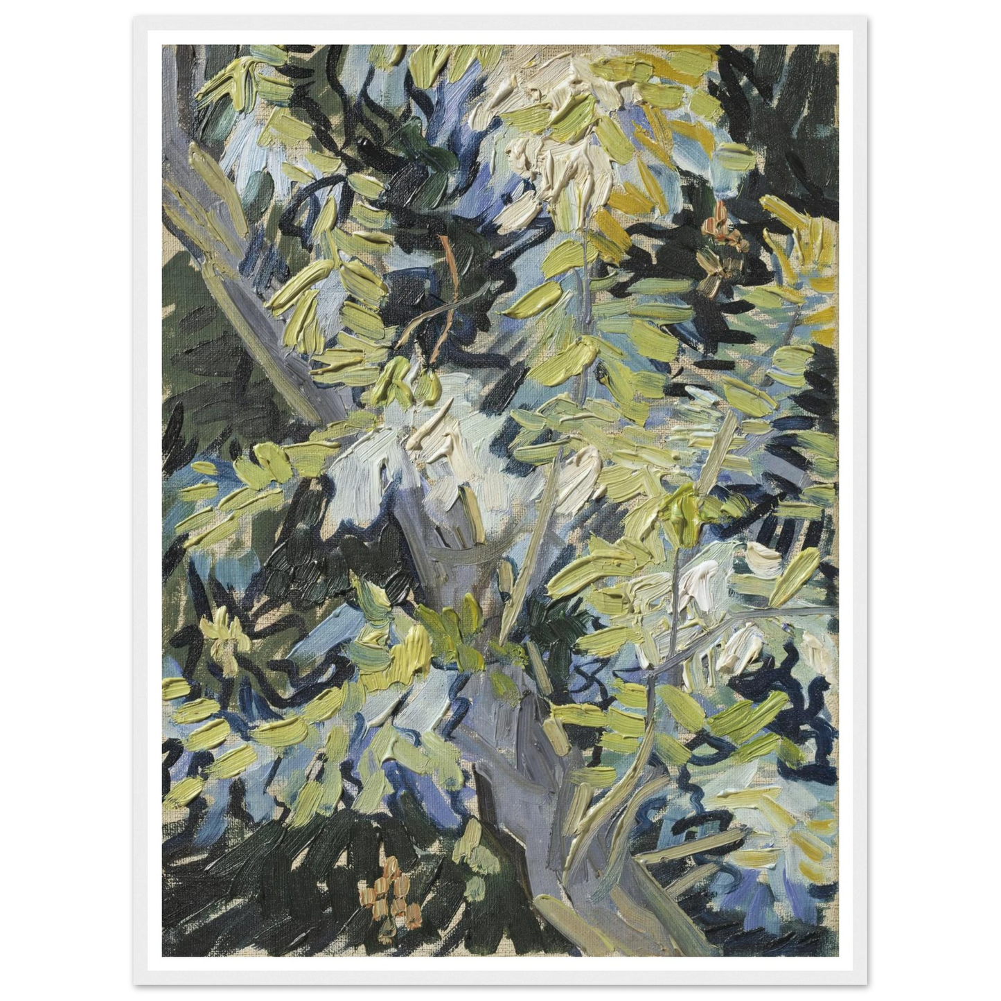 Acacia in Flowers Art Print | Vincent van Gogh-Quipham Collections