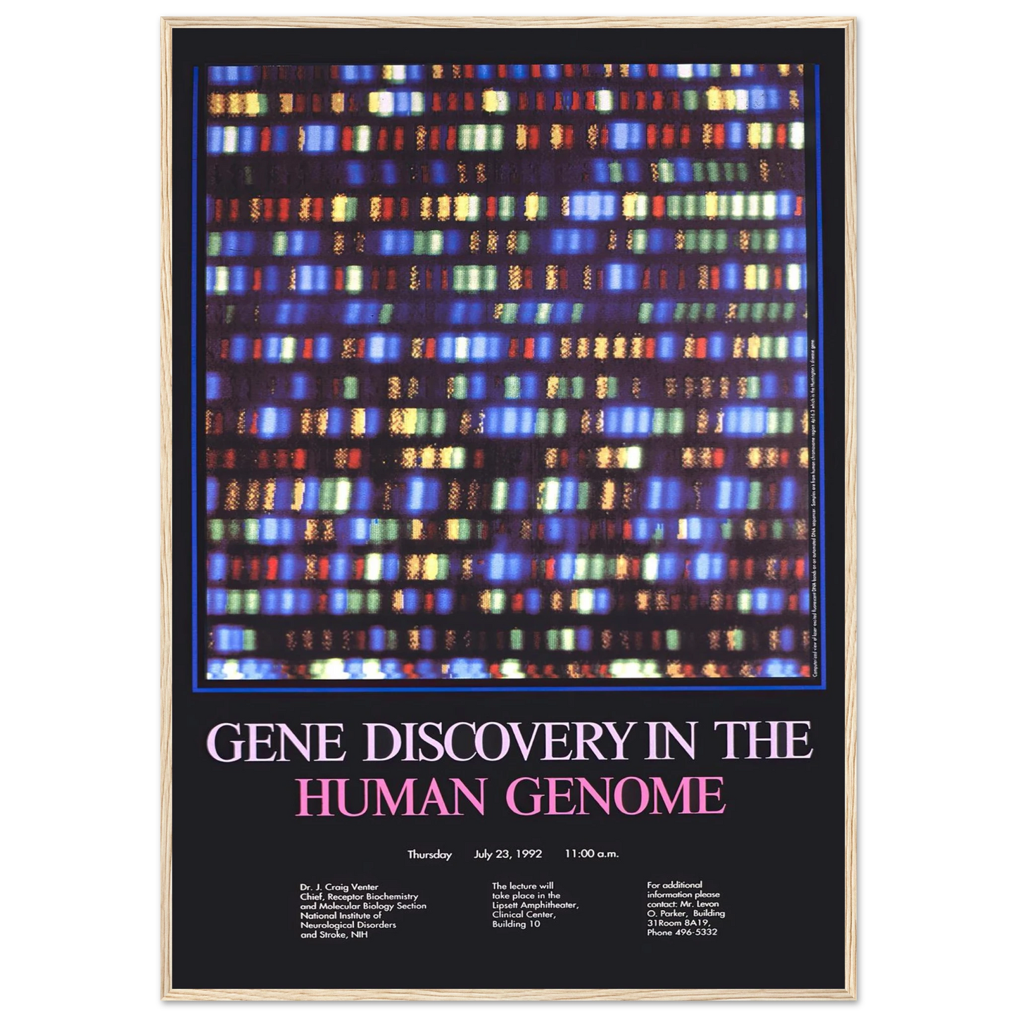 Gene discovery in the human genome (1992) Art Print | National Institutes of Health-Quipham Collections