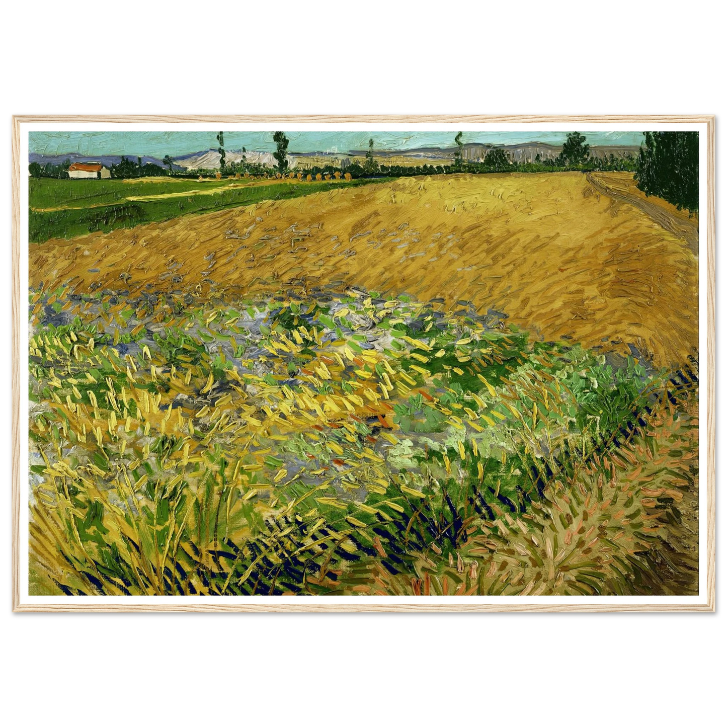 Wheatfield (1888) Art Print | Vincent van Gogh-Quipham Collections