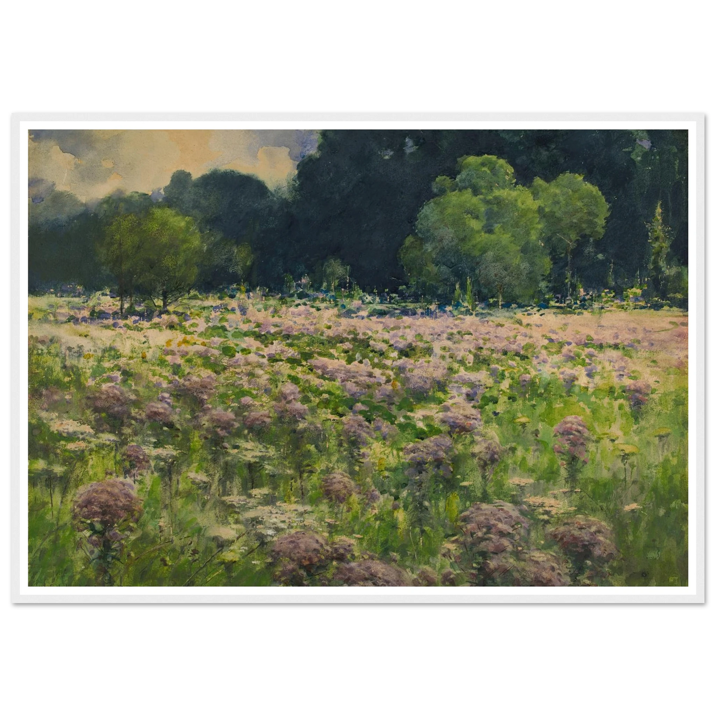 Field Of Joe Pie Weeds (Pride Of The Meadow) Art Print | William Henry Holmes-Quipham Collections