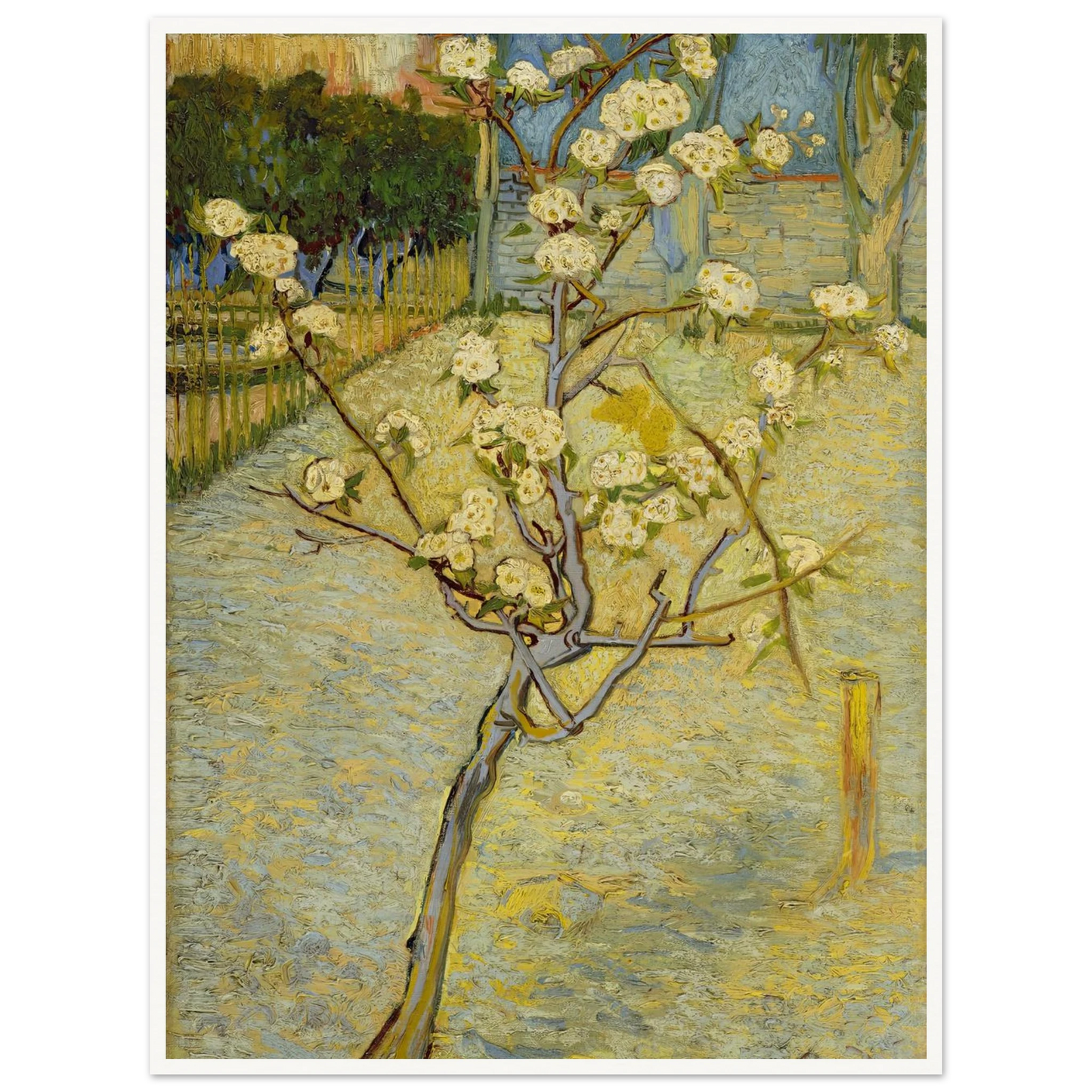 Small pear tree in blossom (1888) Art Print | Vincent van Gogh-Quipham Collections