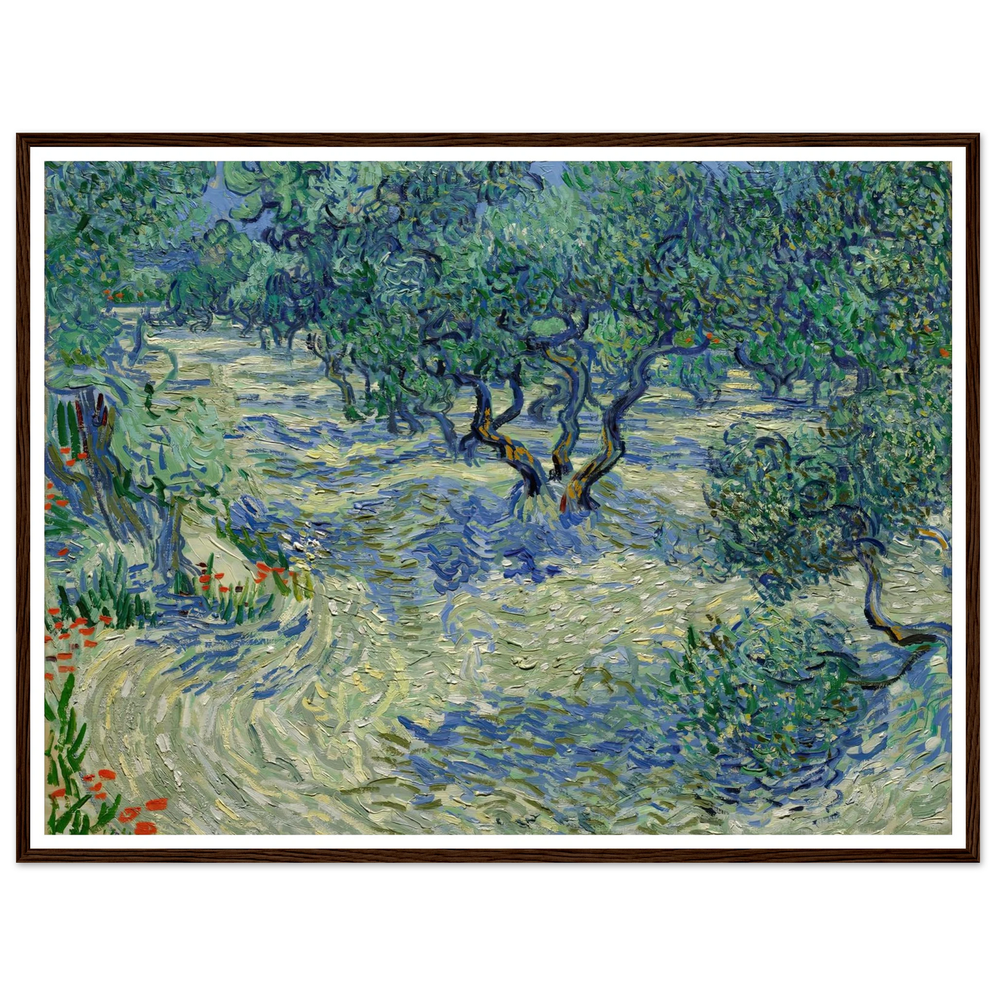 Olive Orchard Art Print | Vincent van Gogh-Quipham Collections