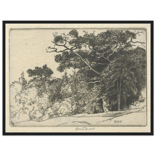 Brown’s Oak (probably 1910) Art Print | Ernest Haskell - Framed Poster - 30x40 cm / 12x16″ - Black frame