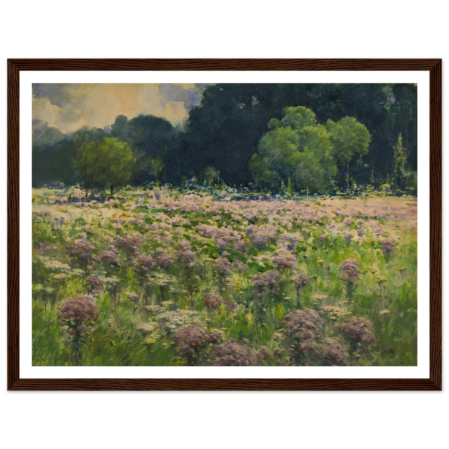 Field Of Joe Pie Weeds (Pride Of The Meadow) Art Print | William Henry Holmes-Quipham Collections