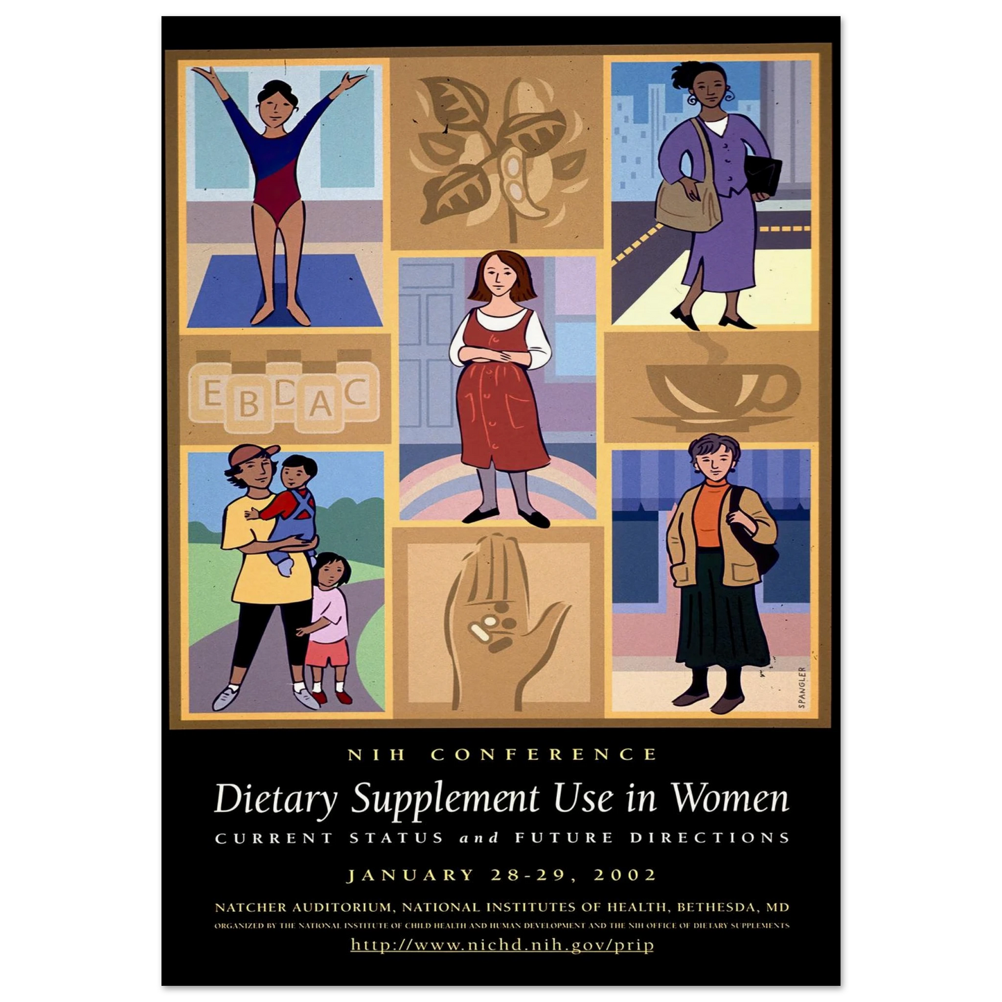 Dietary supplement use in women; current status and future directions (2002) Art Print | National Institutes of Health-Quipham Collections
