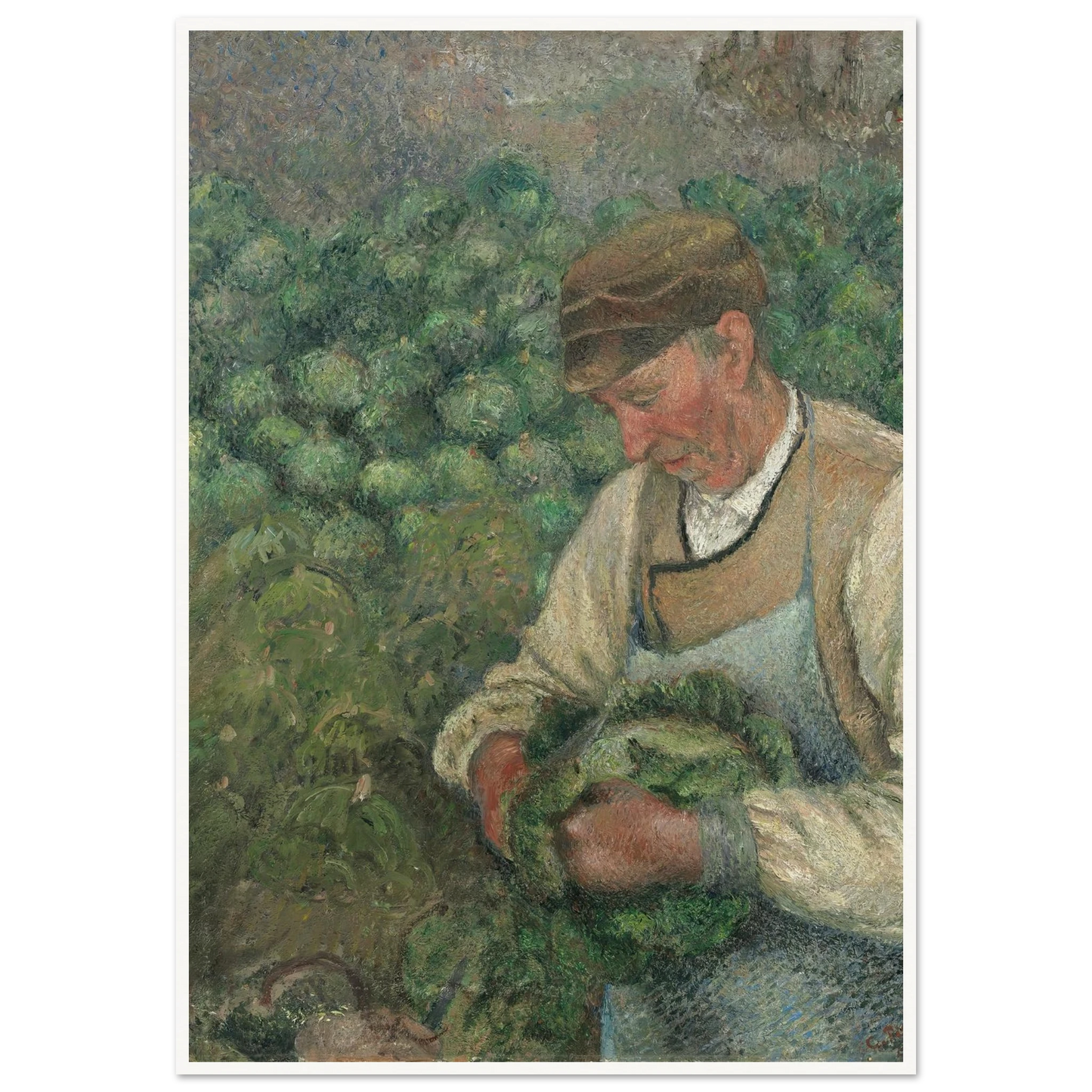 The Gardener – Old Peasant with Cabbage (1883-1895) Art Print | Camille Pissarro-Quipham Collections