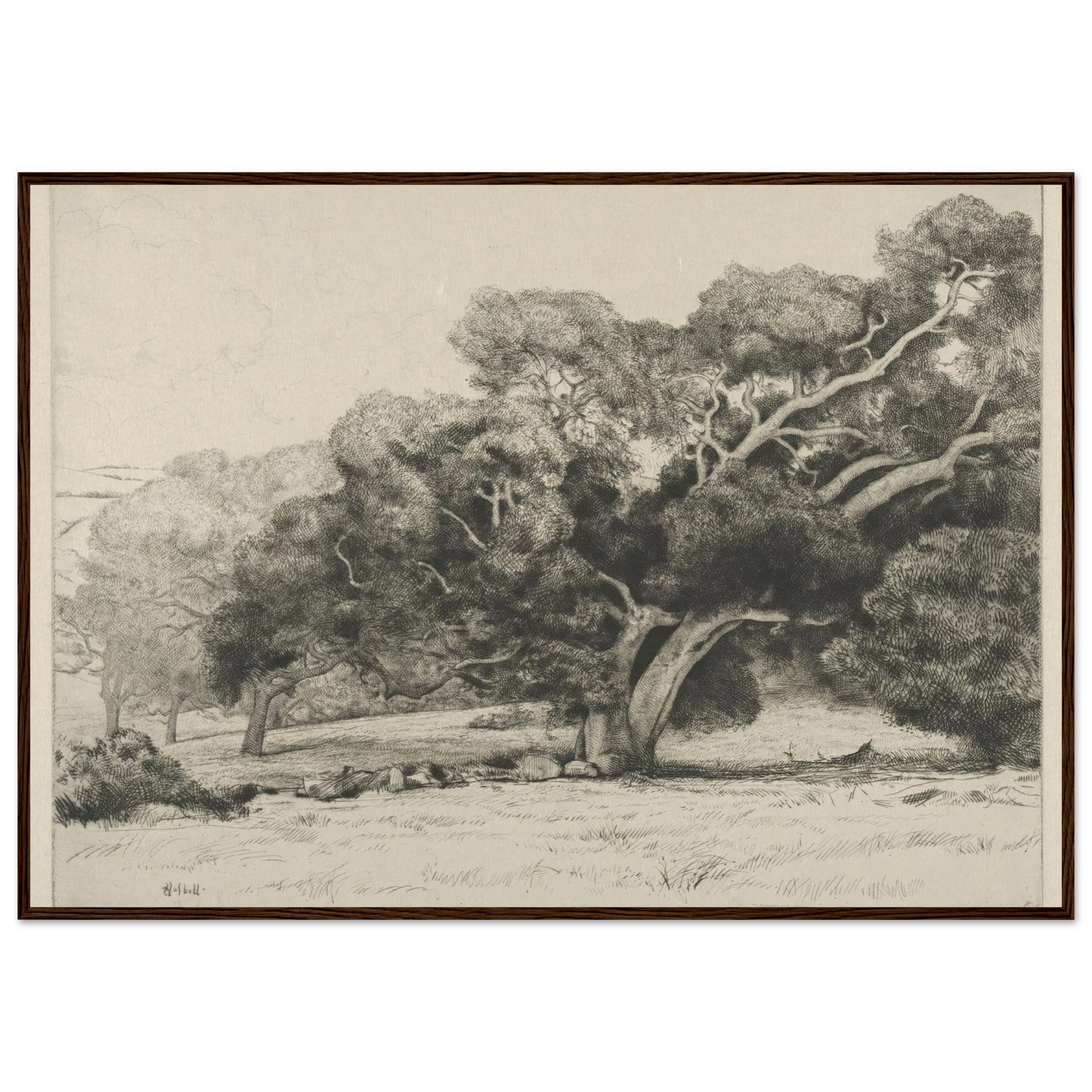 Large Live Oak (1915-1925) Art Print | Ernest Haskell-Quipham Collections