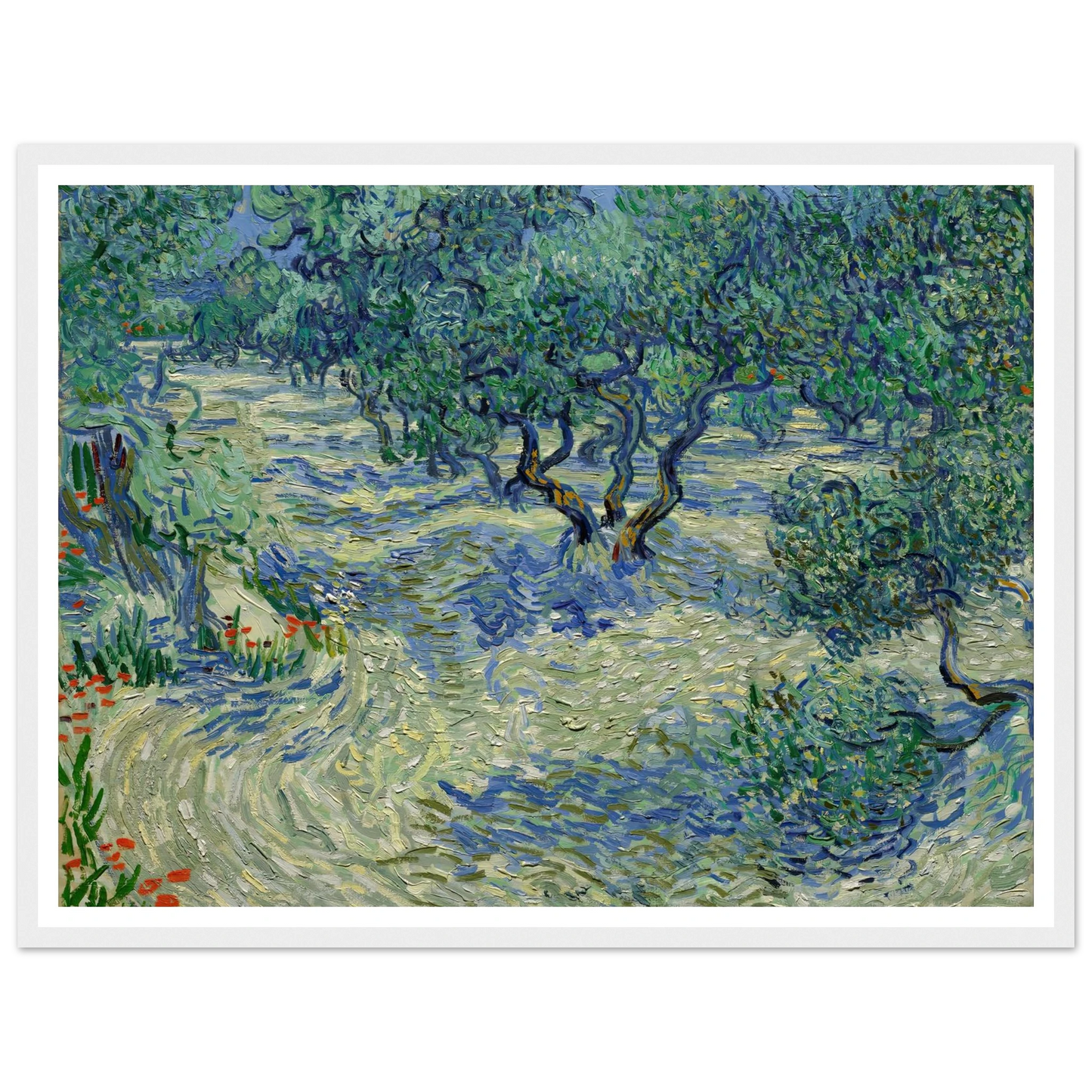 Olive Orchard Art Print | Vincent van Gogh-Quipham Collections