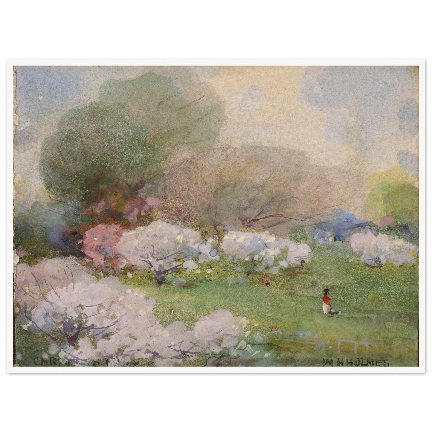 Cherry Blossoms Art Print | William Henry Holmes - Framed Poster - 30x40 cm / 12x16″ - Black frame